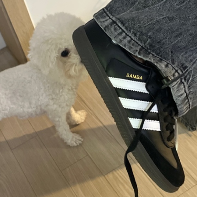 Adidas Samba OG Black White Gum 착용 스타일