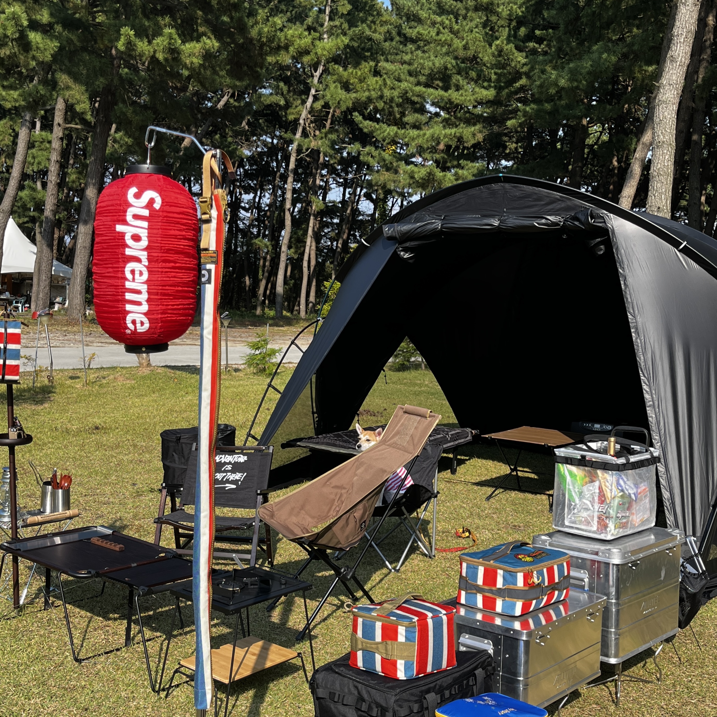 Supreme Hanging Lantern Red - 19FW 착용 스타일
