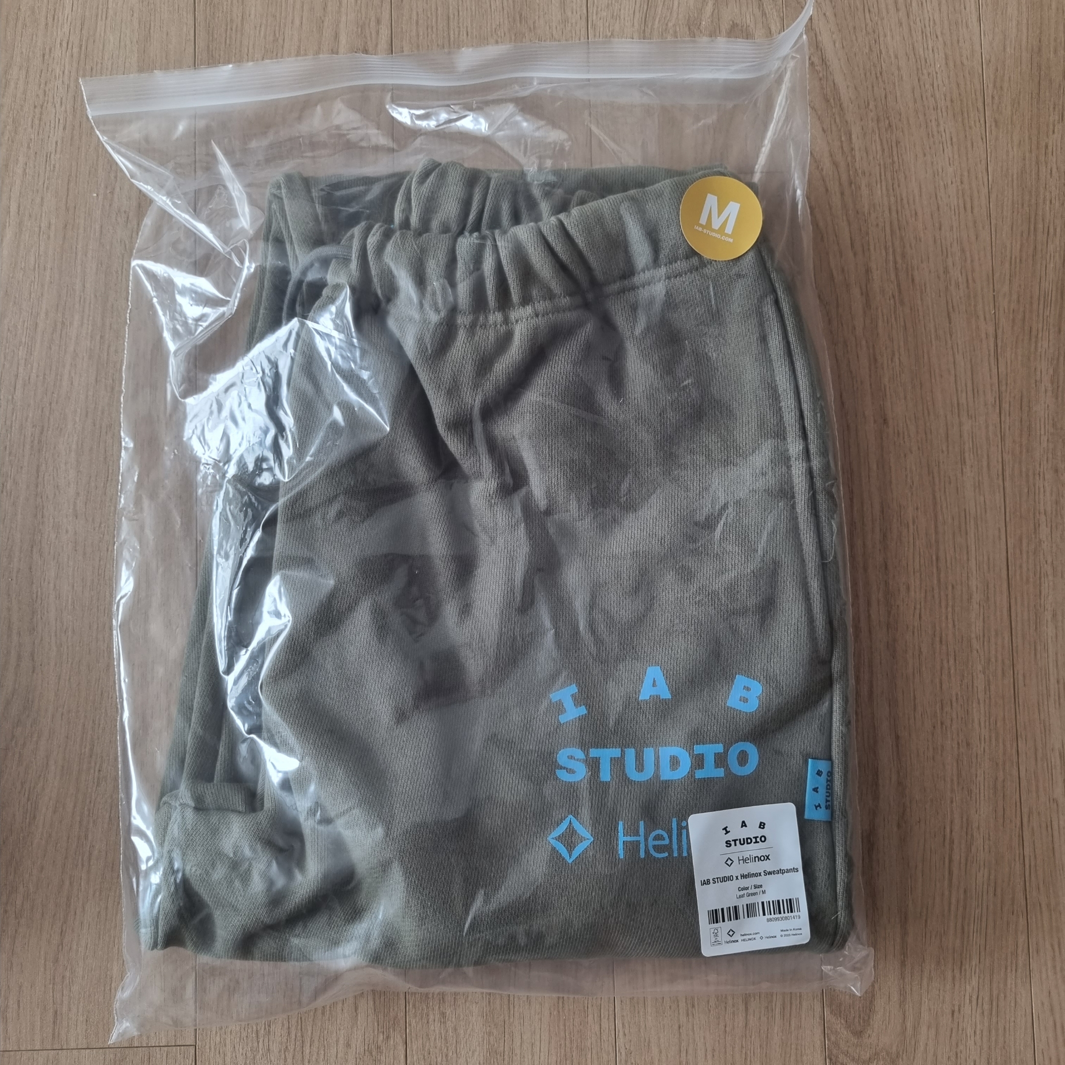IAB Studio x Helinox Sweatpants Leaf Green 착용 스타일