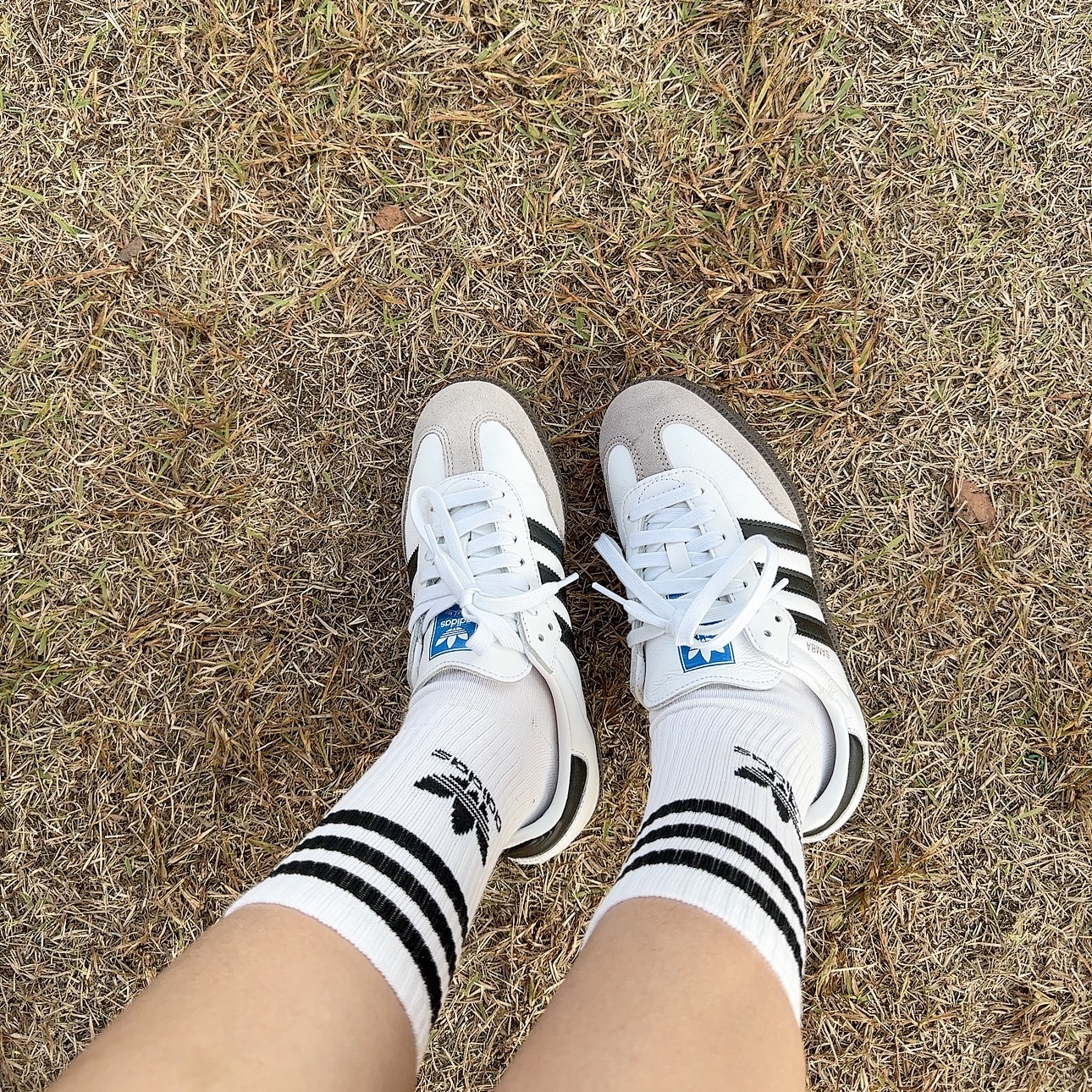 Adidas Samba OG Cloud White 착용 스타일 - 7