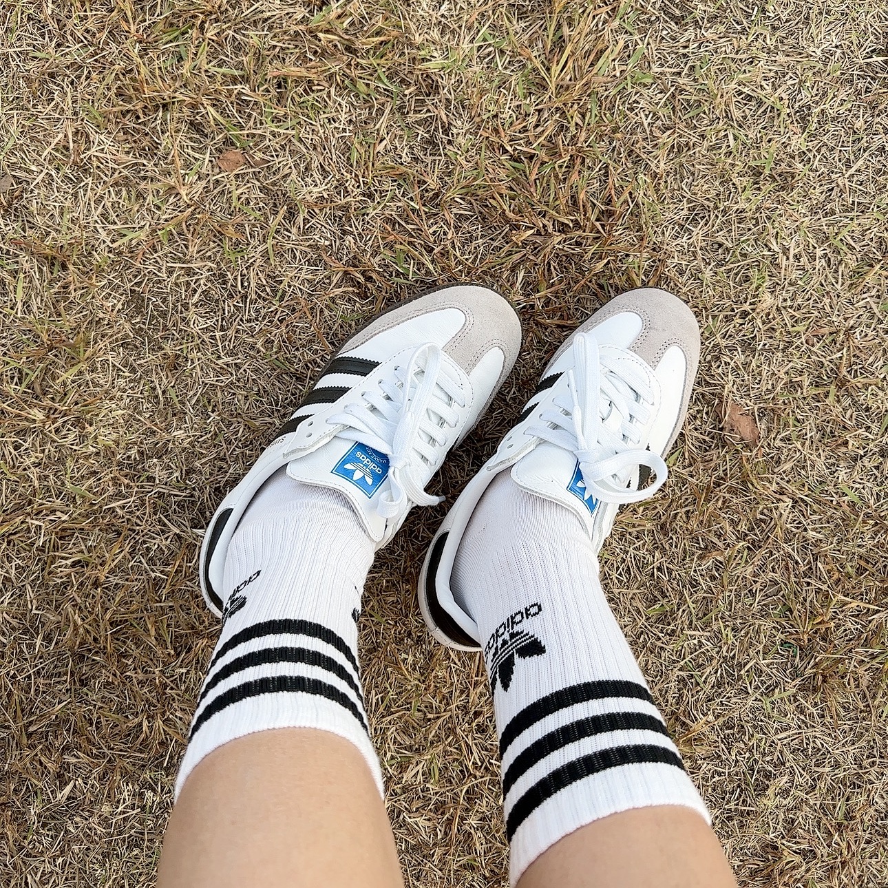 Adidas Samba OG Cloud White 착용 스타일 - 8