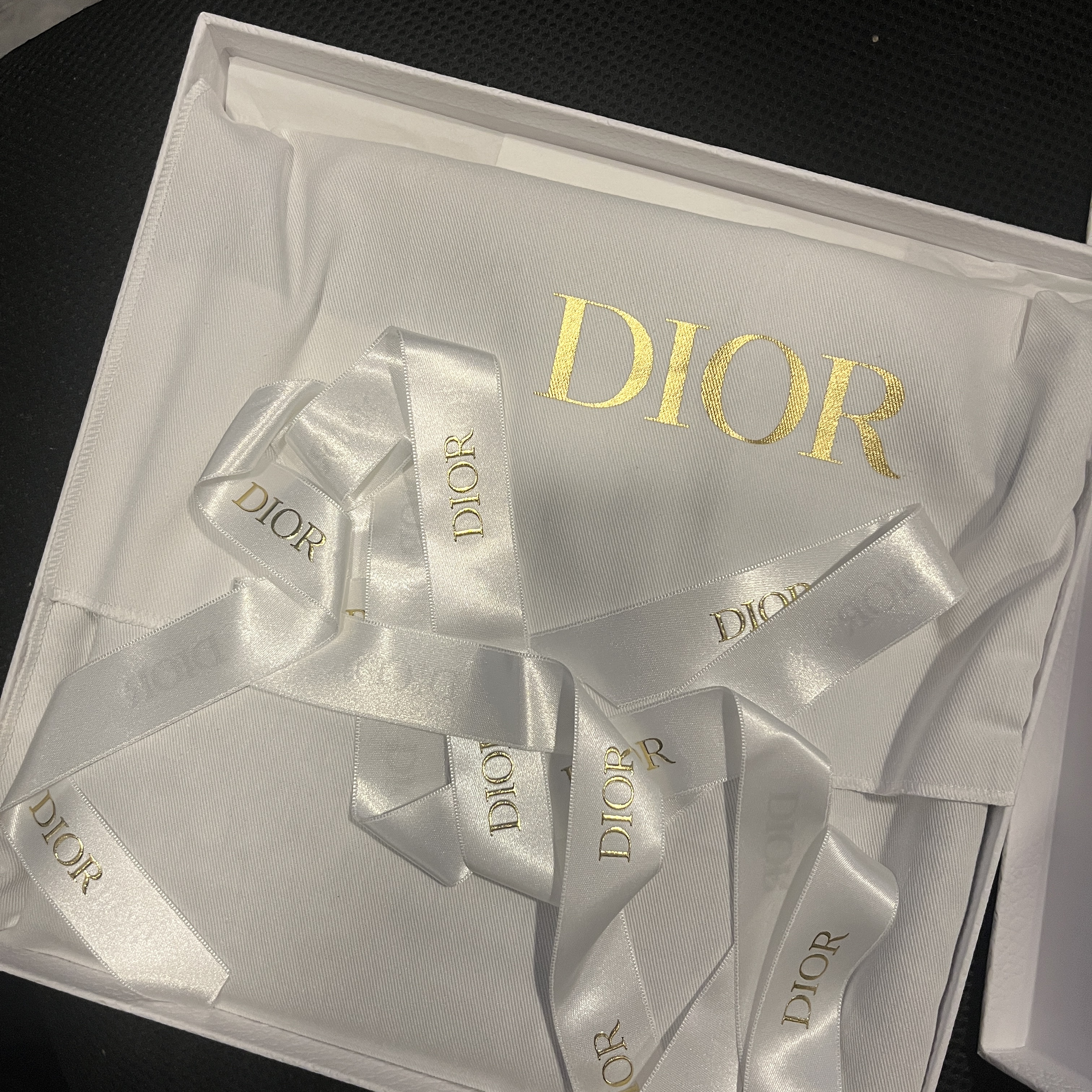 Dior Toile de Jouy Reverse Technical Fabric Travel Zipped Pouch Blue 착용 스타일 - 3