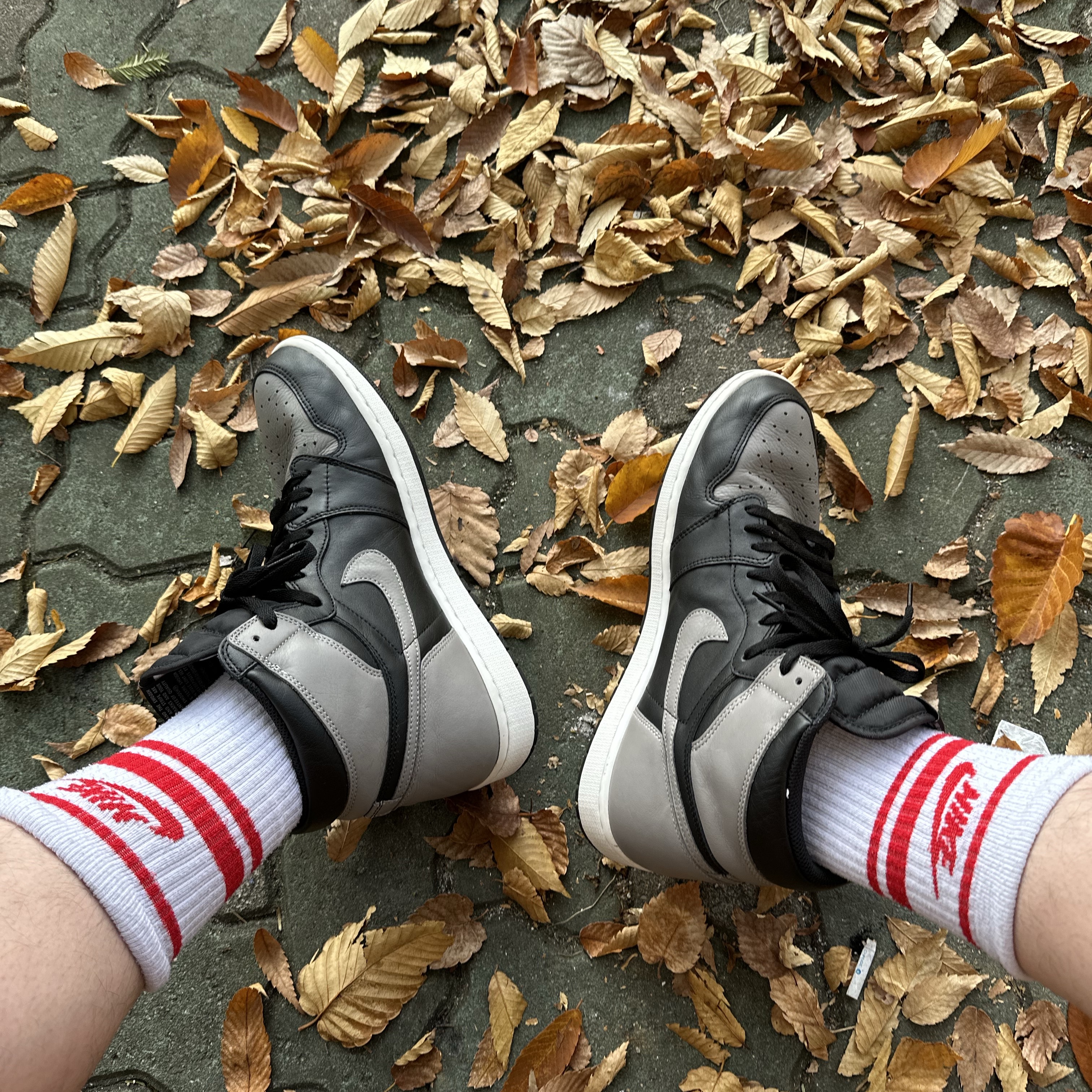 Jordan 1 Retro High OG Shadow 2018 착용 스타일 - 2