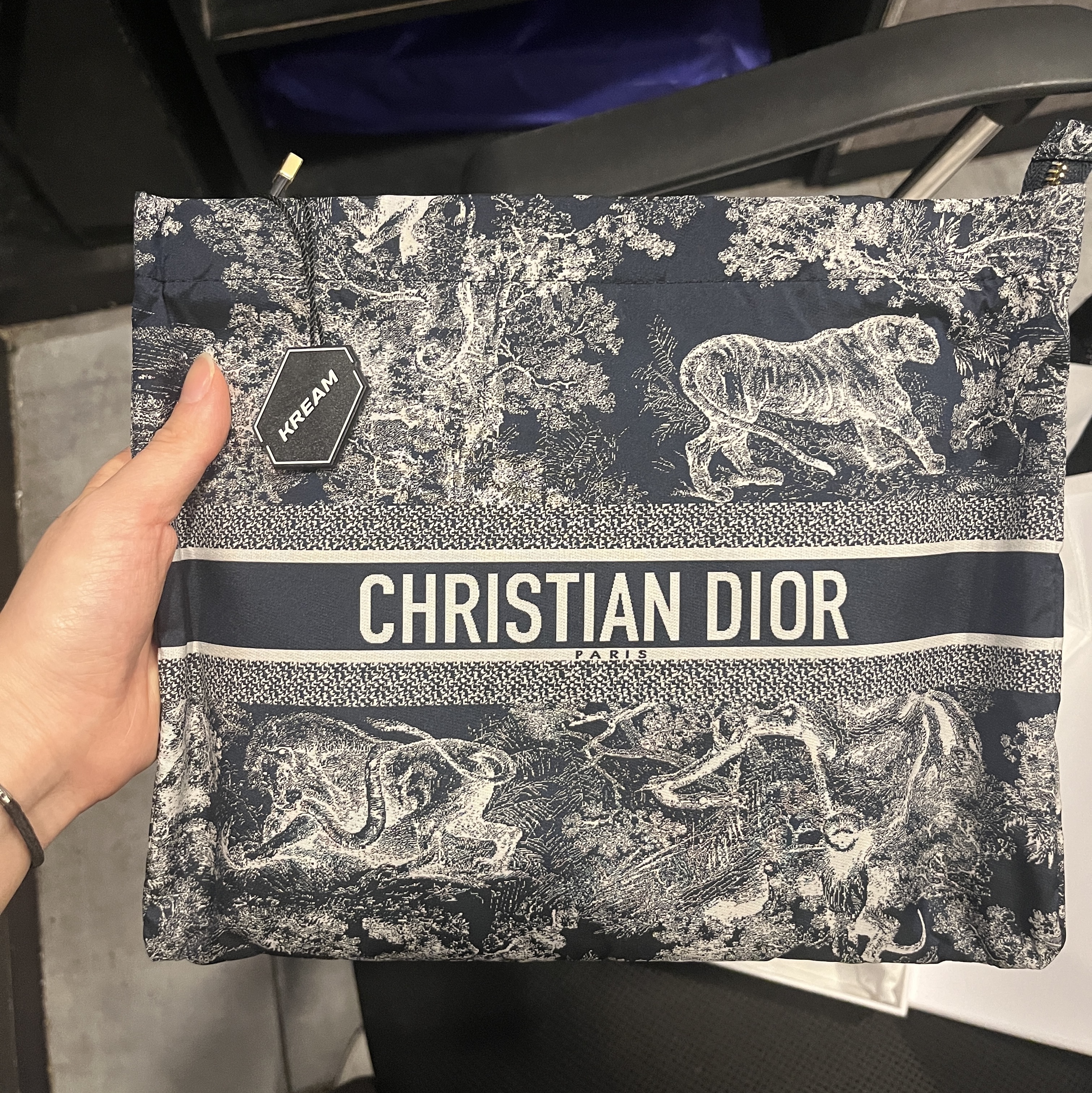 Dior Toile de Jouy Reverse Technical Fabric Travel Zipped Pouch Blue 착용 스타일 - 4