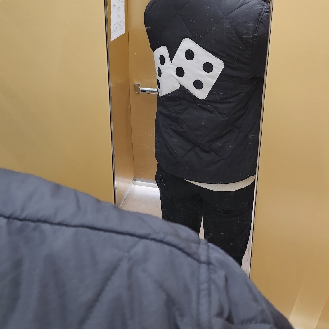 Stussy Dice Quilted Liner Jacket Black 착용 스타일