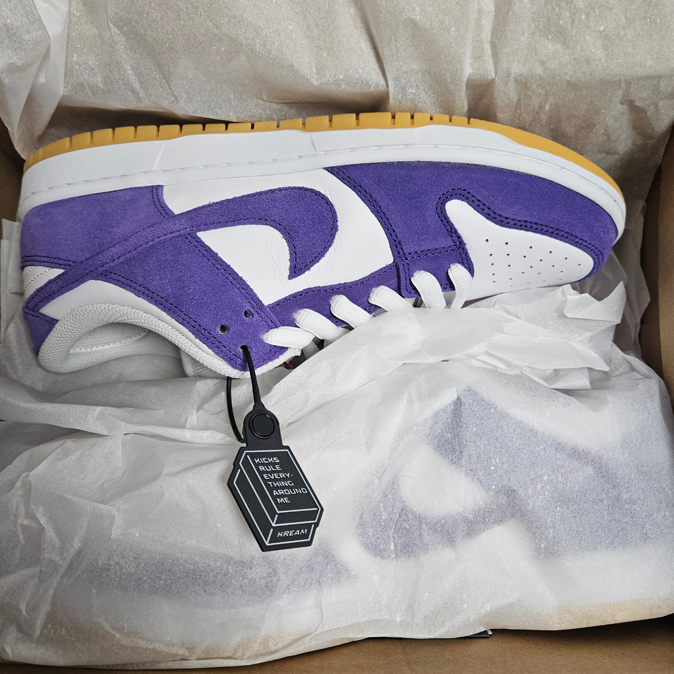 Nike Dunk Low Pro SB Court Purple 착용 스타일