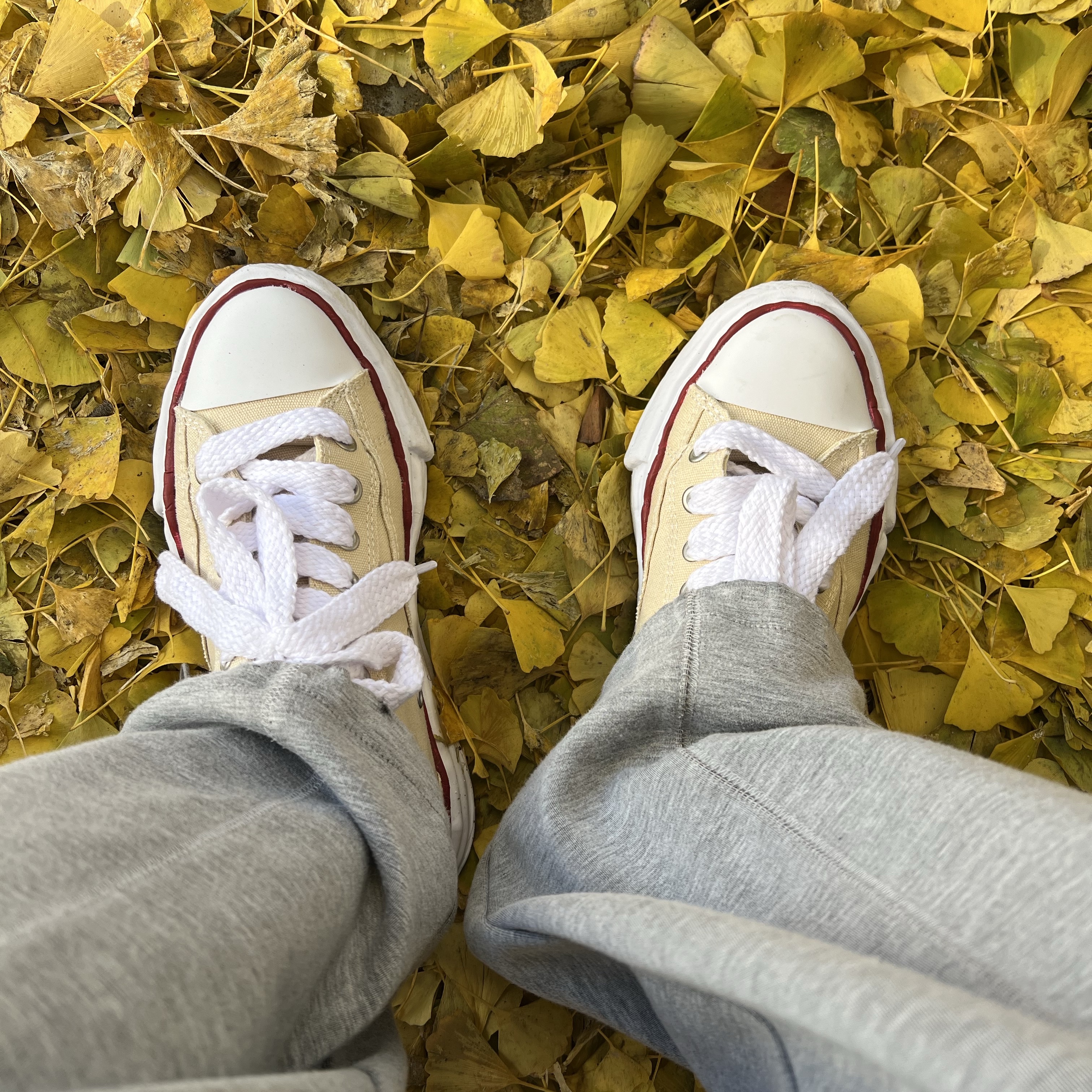 Maison Mihara Yasuhiro Peterson OG Sole Canvas Low-top Sneakers Natural 착용 스타일