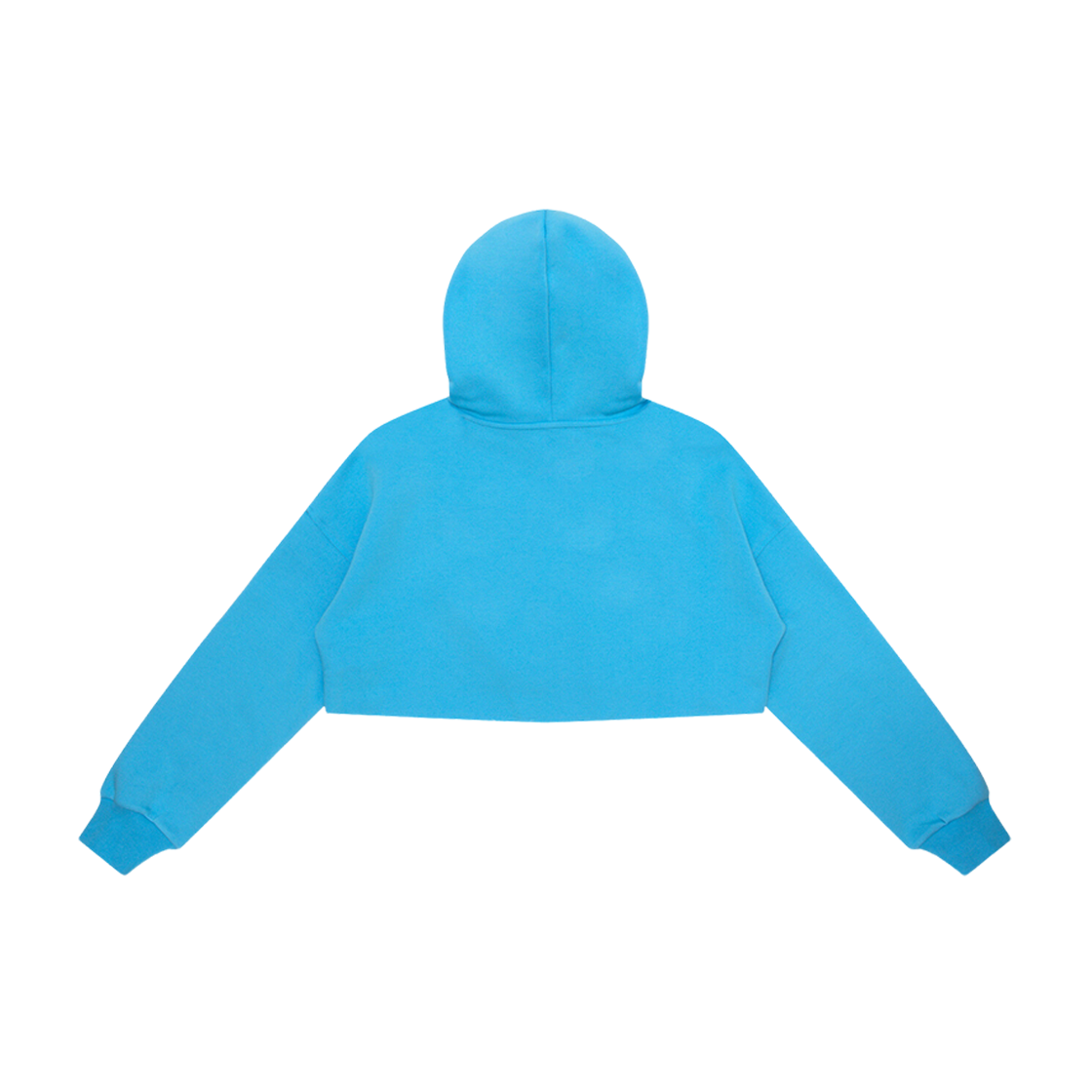 (W) BAPE Apee Logo Cropped Hoody Blue 상세 이미지 2