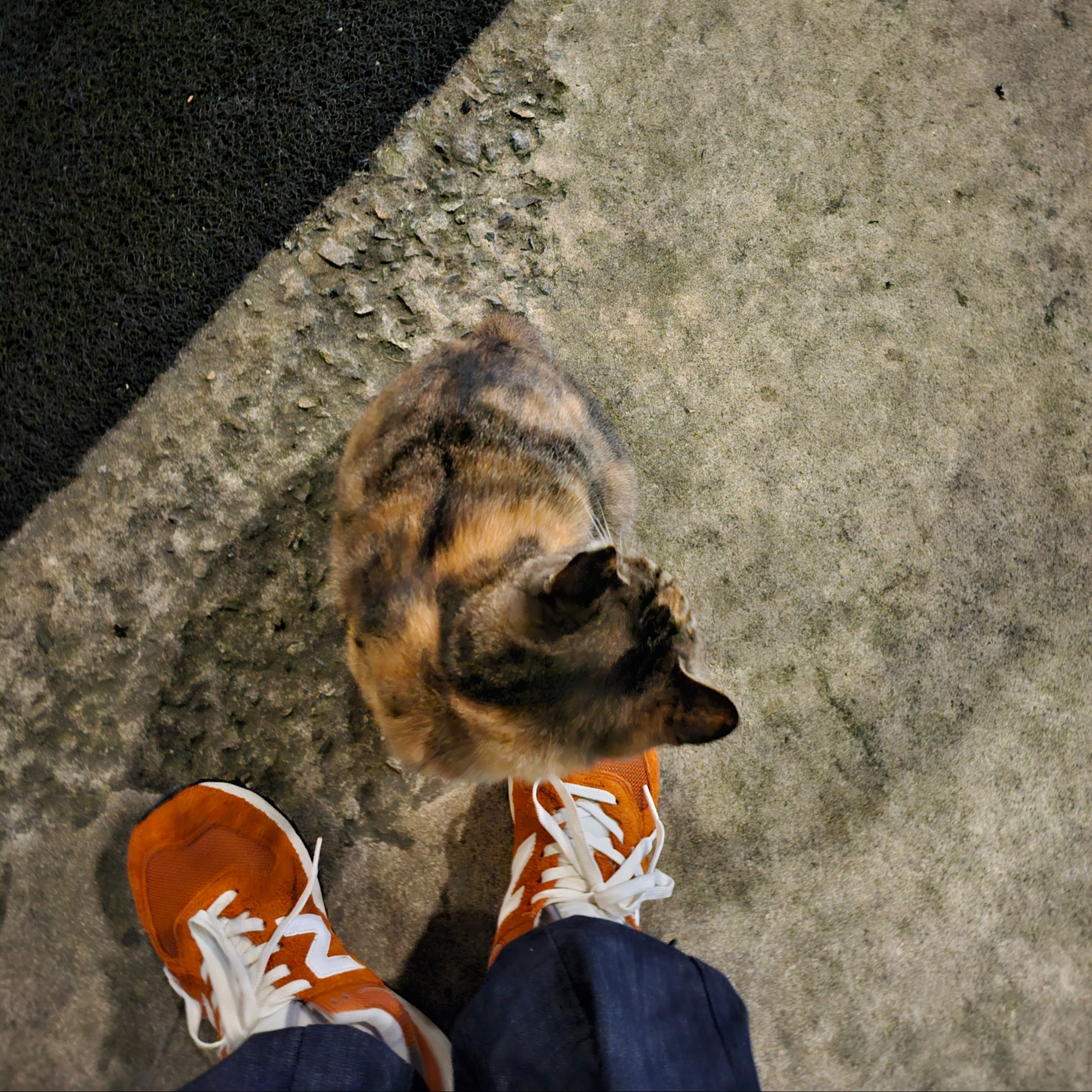 New Balance 574 Heritage Orange Burst White 착용 스타일
