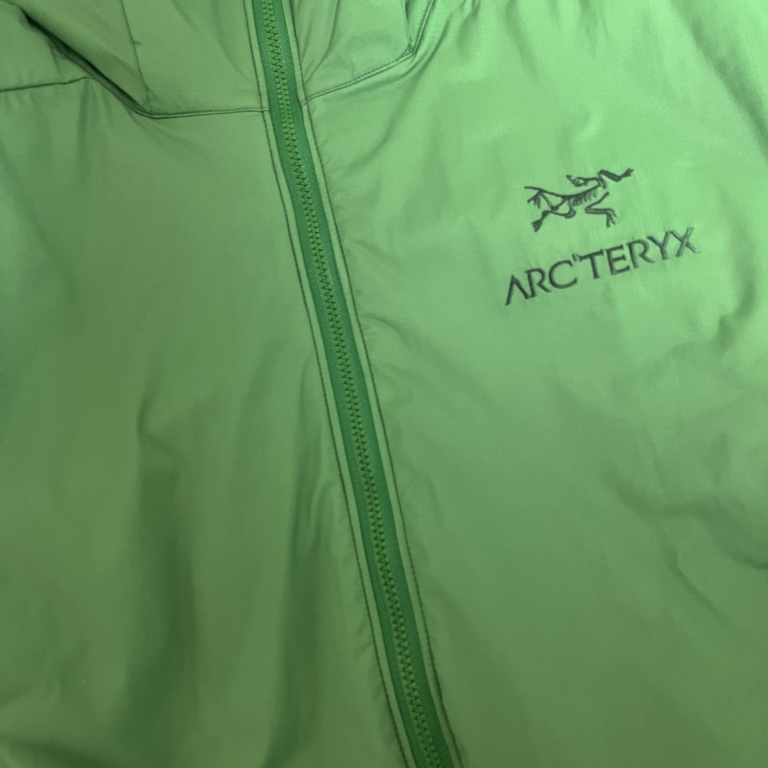 Arc'teryx Atom LT Hoody Jungle 착용 스타일 - 1