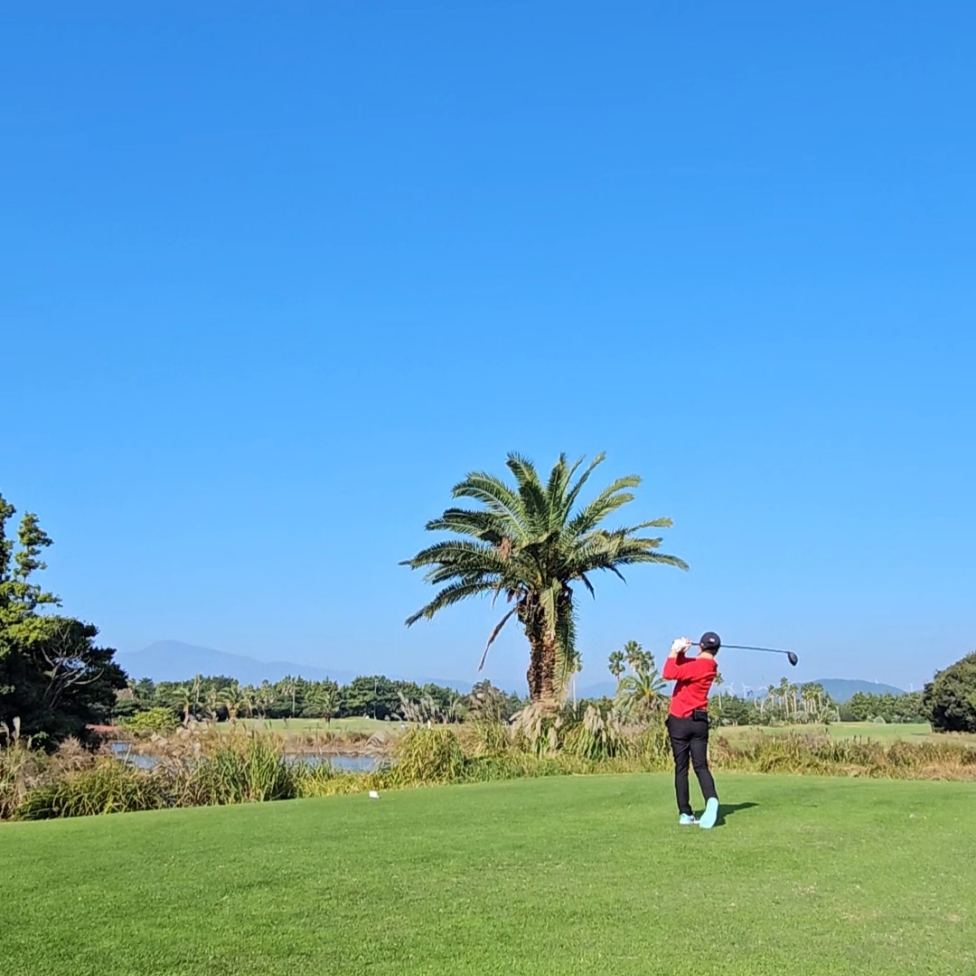 Jordan 1 Low Golf Copa 착용 스타일 - 3