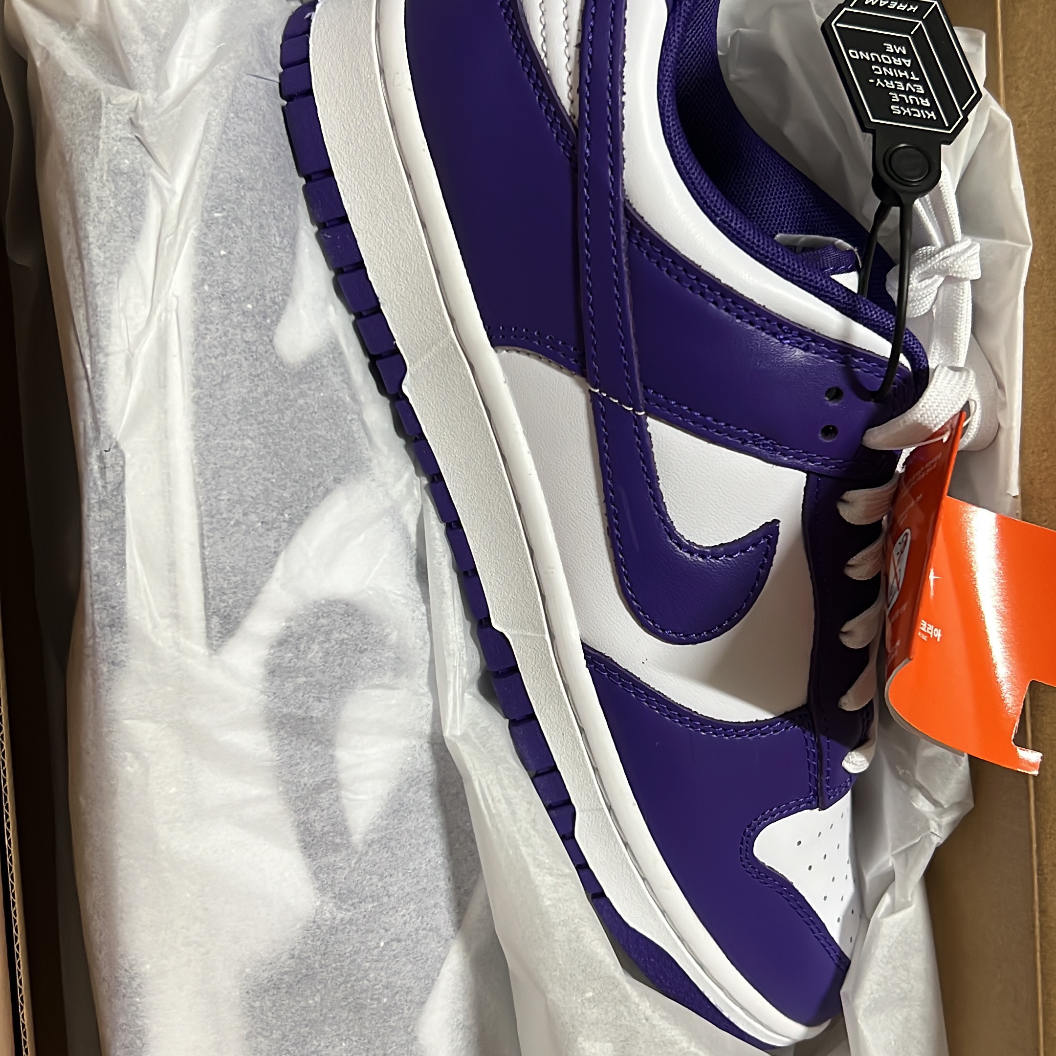 Nike Dunk Low Retro Championship Court Purple 착용 스타일