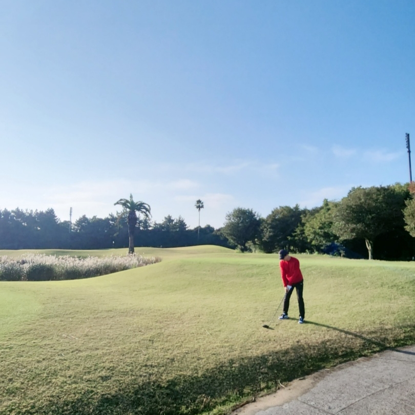 Jordan 1 Low Golf Copa 착용 스타일 - 2