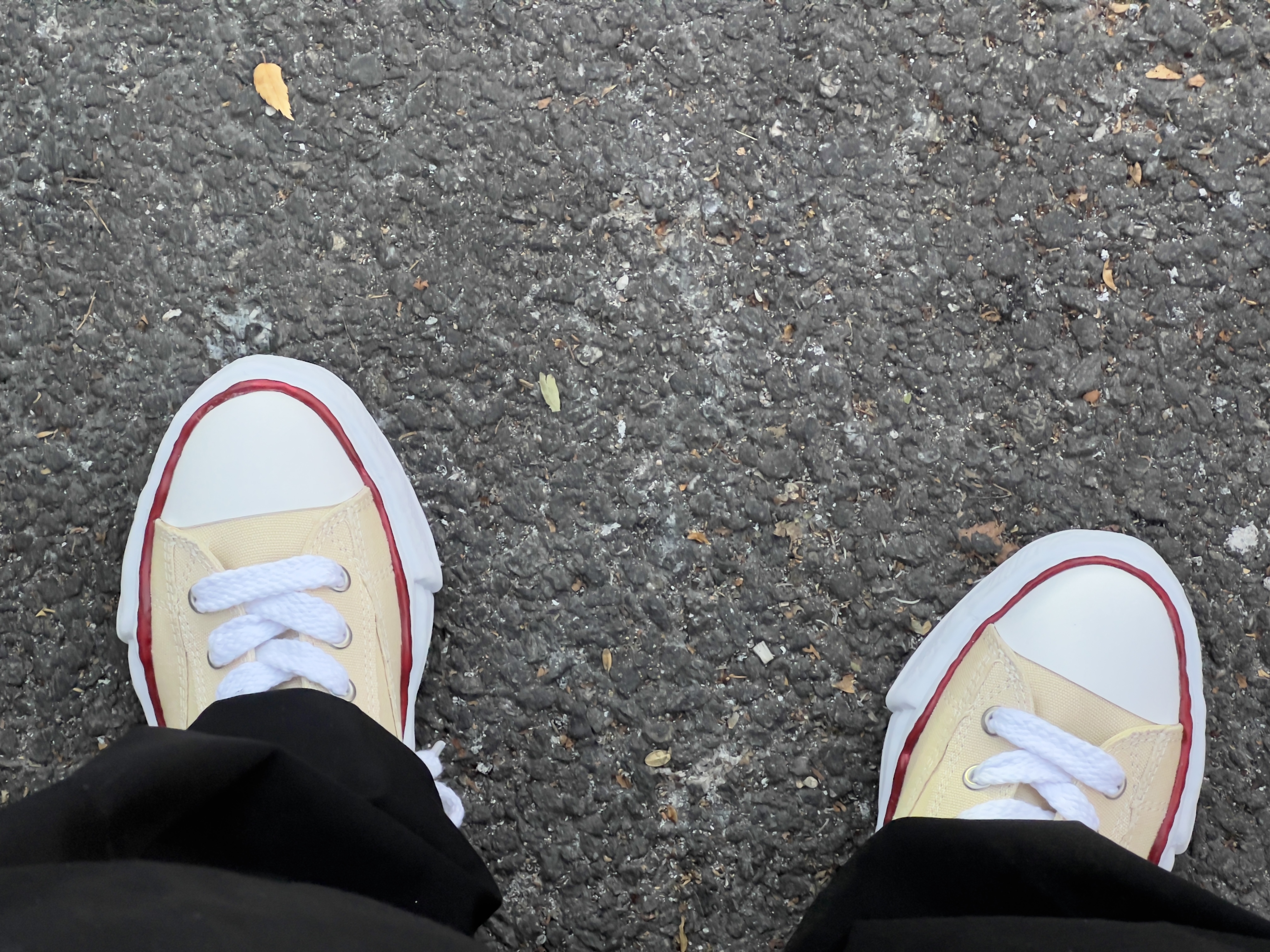 Maison Mihara Yasuhiro Peterson OG Sole Canvas Low-top Sneakers Natural 착용 스타일