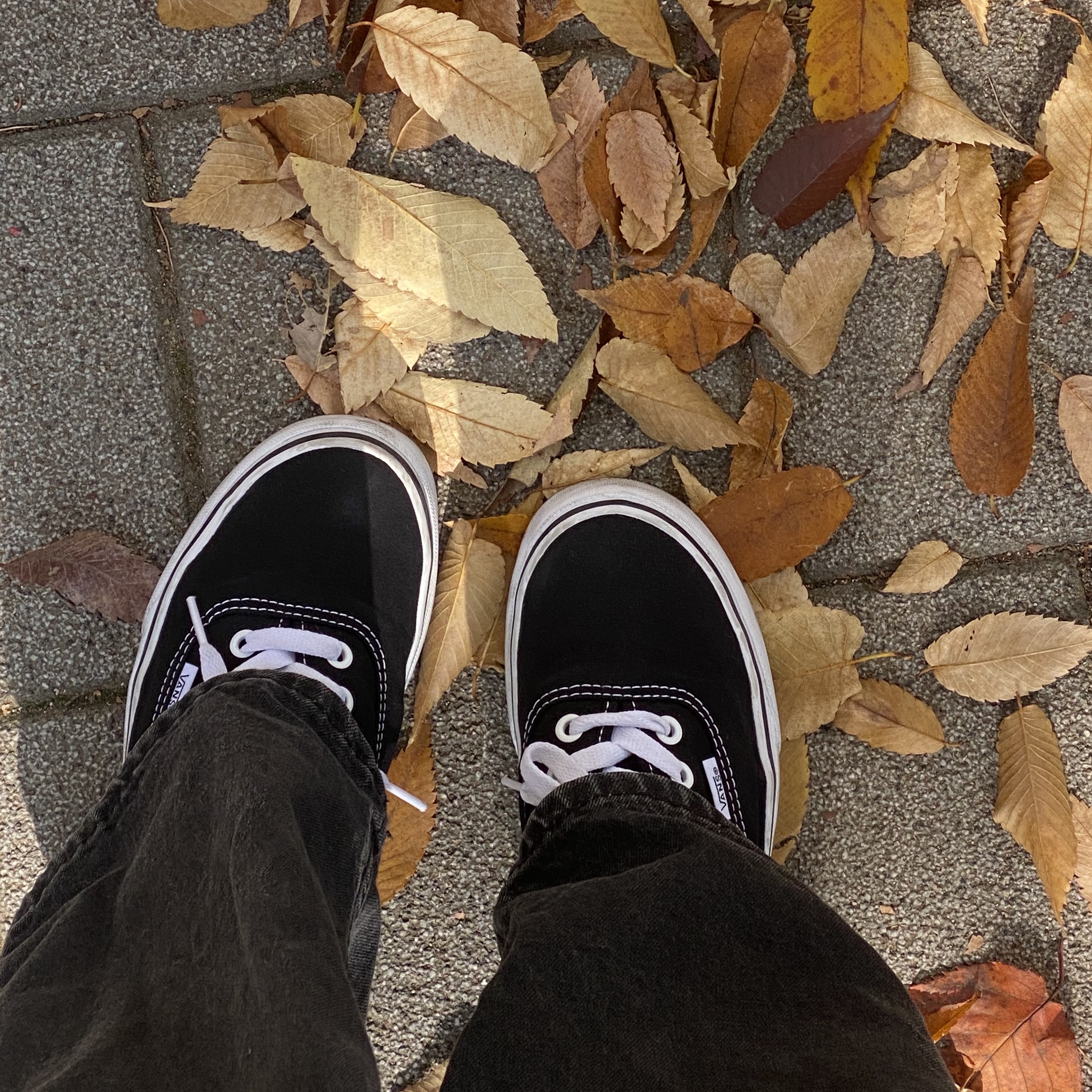Vans Authentic Mule Black 착용 스타일