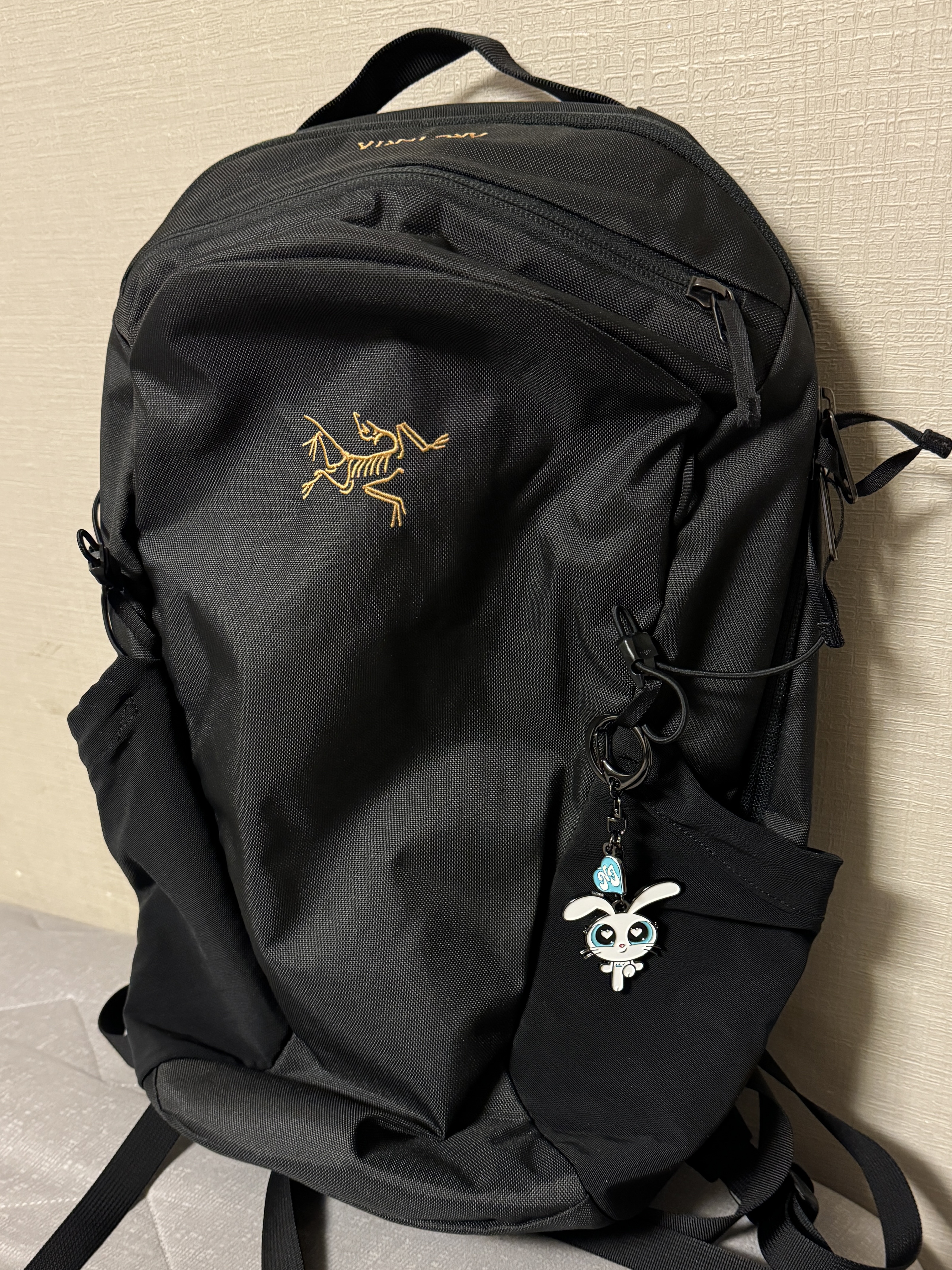 NewJeans x The Powerpuff Girls Metal Keyring Bunny, Arc'teryx Mantis 16 Backpack Black 착용 스타일