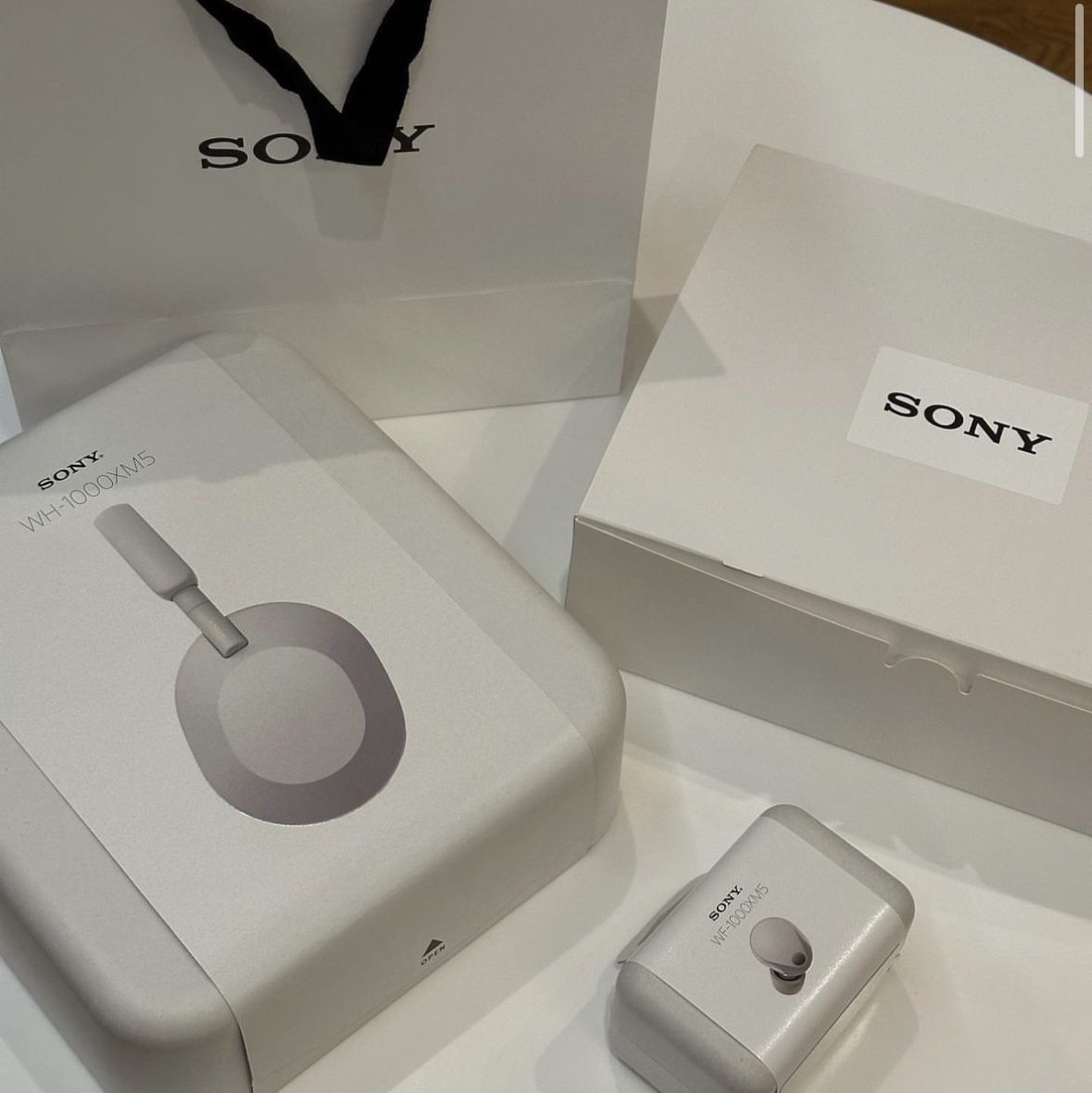 [사은품 증정] Sony WF-1000XM5 Platinum Silver (Sony Korea Ver.), Sony WF-1000XM5 Platinum Silver (Korean Ver.) 착용 스타일 - 1