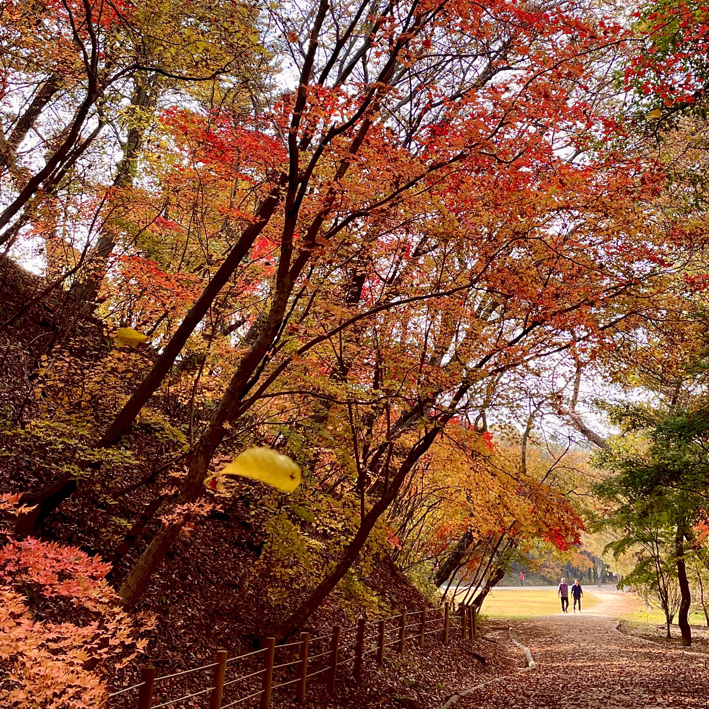 타로님의 스타일