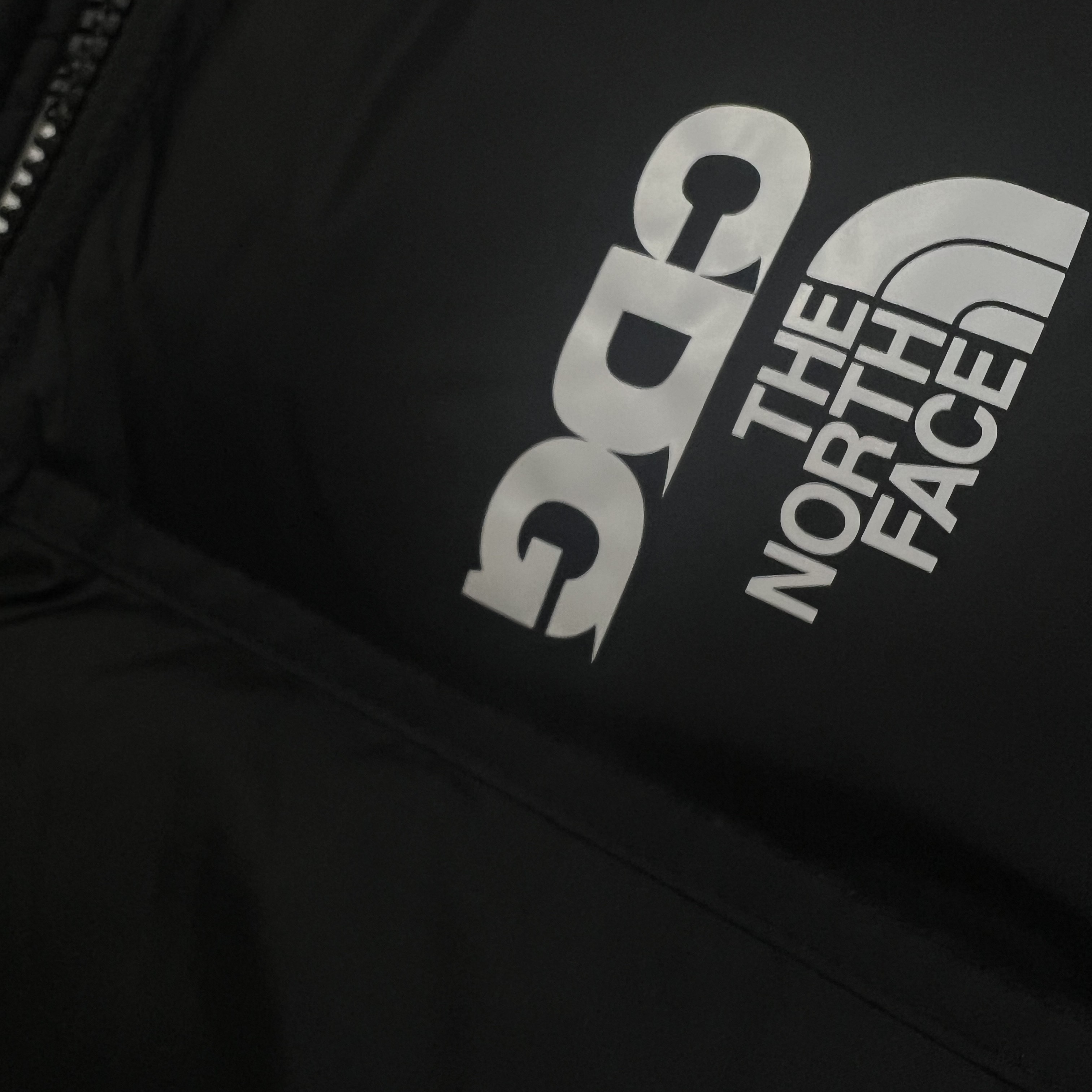 CDG x The North Face Nuptse Vest Black 착용 스타일
