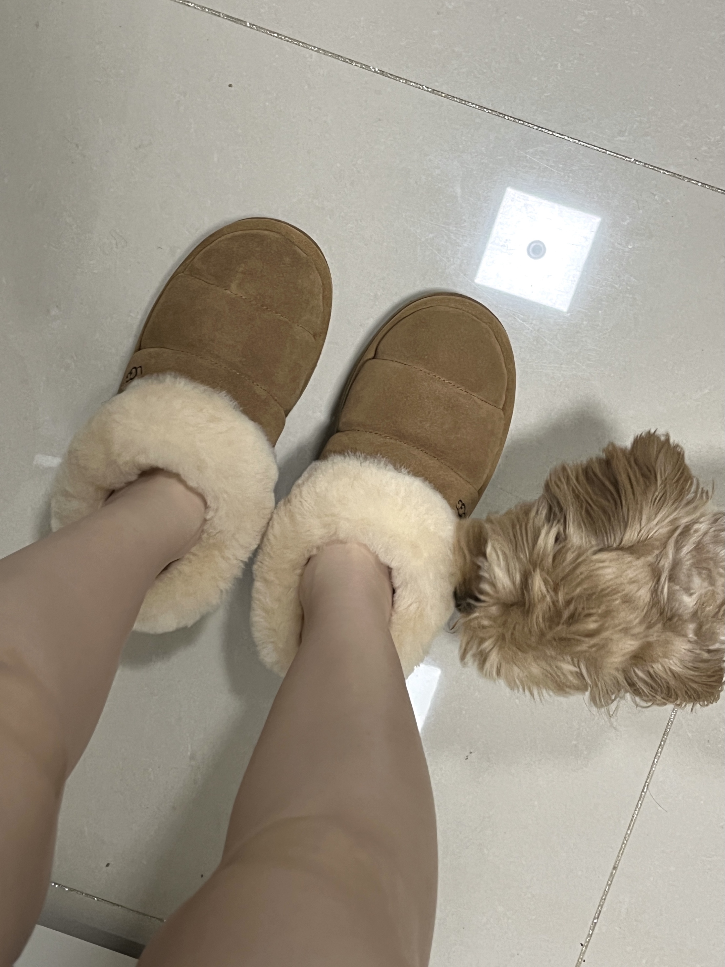 (W) UGG Tazzlita Chestnut 착용 스타일 - 3