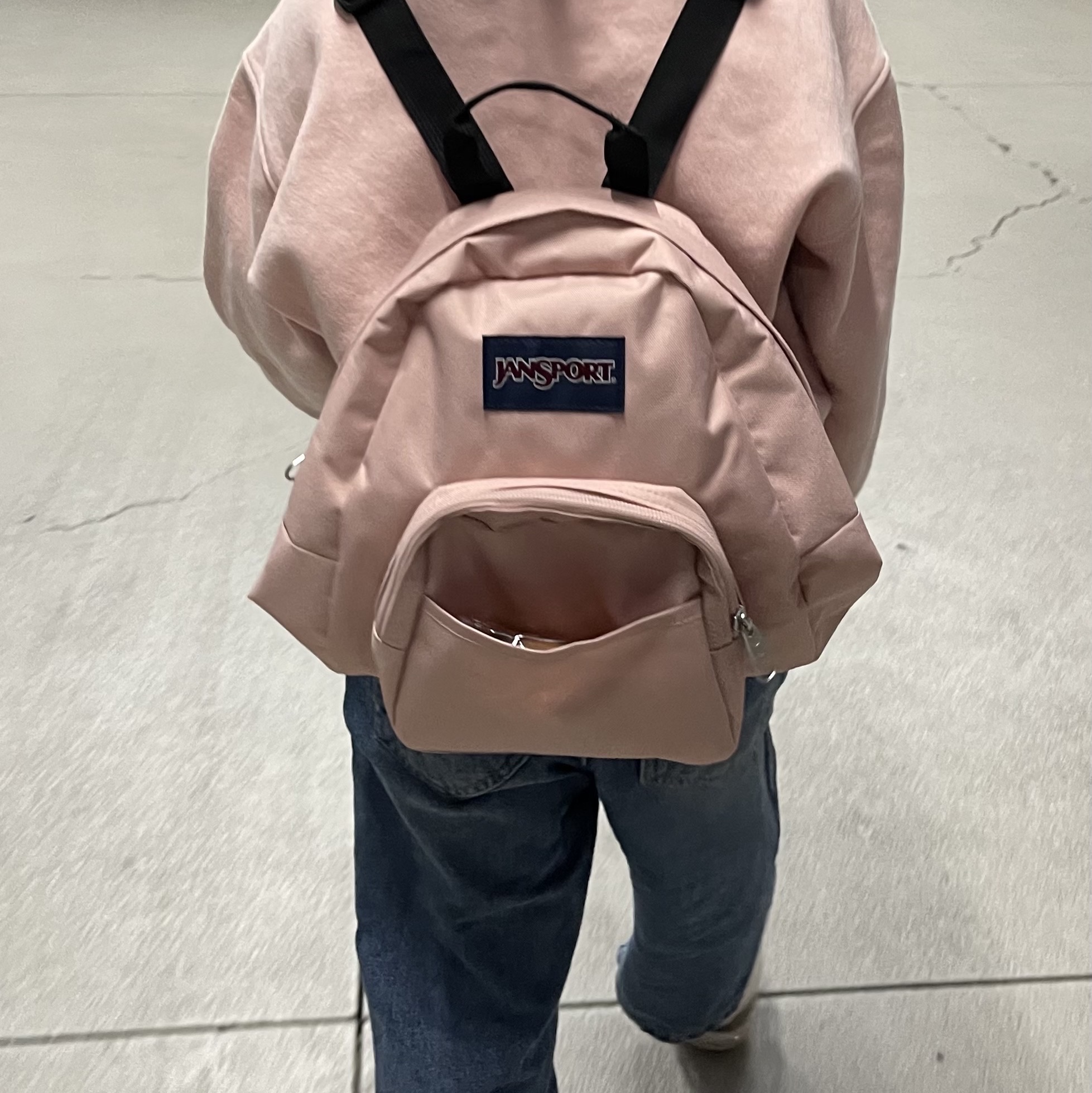 Jansport Half Pint Mini Backpack Misty Rose 착용 스타일