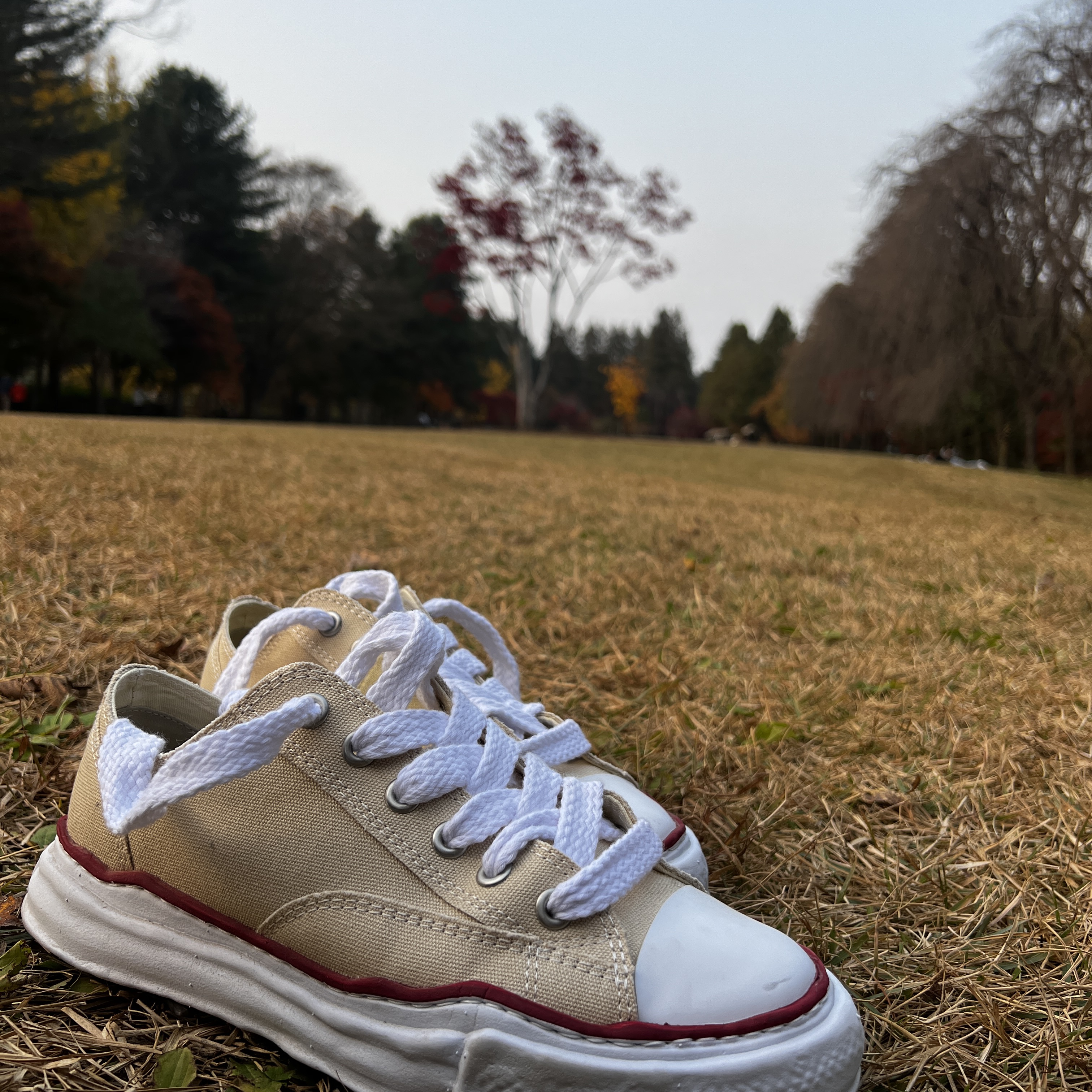 Maison Mihara Yasuhiro Peterson OG Sole Canvas Low-top Sneakers Natural 착용 스타일