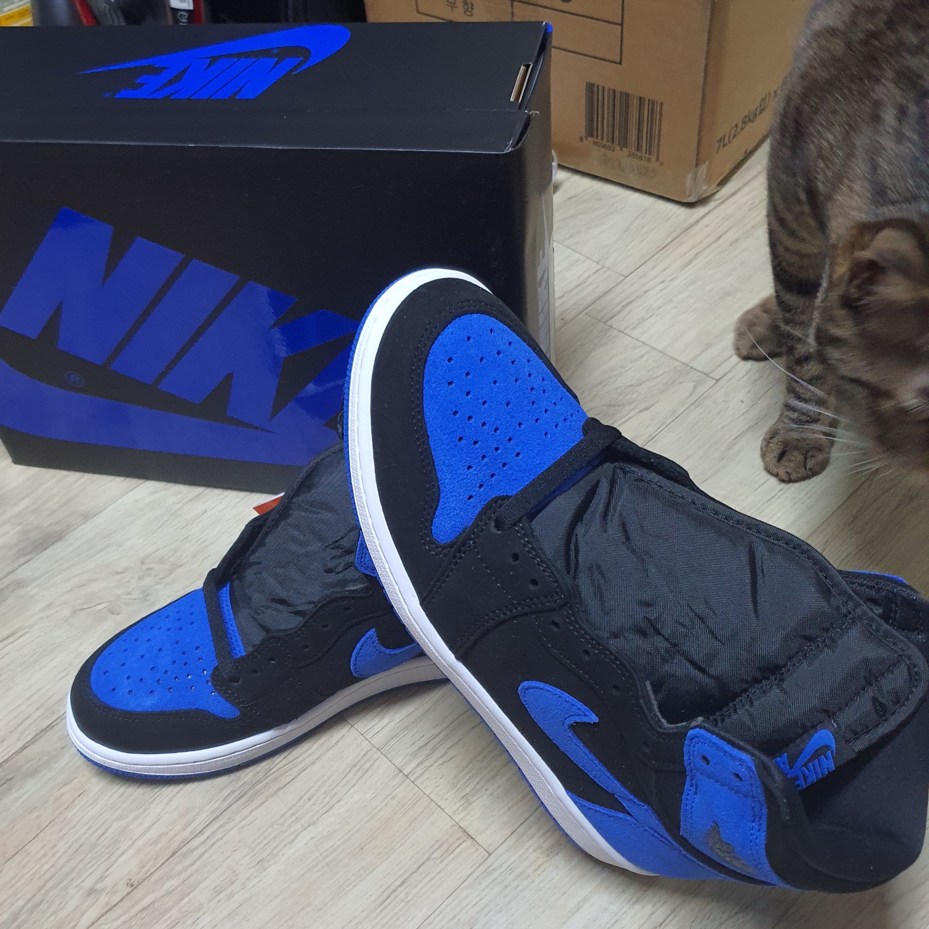 Jordan 1 Retro High OG Royal Reimagined 착용 스타일 - 2