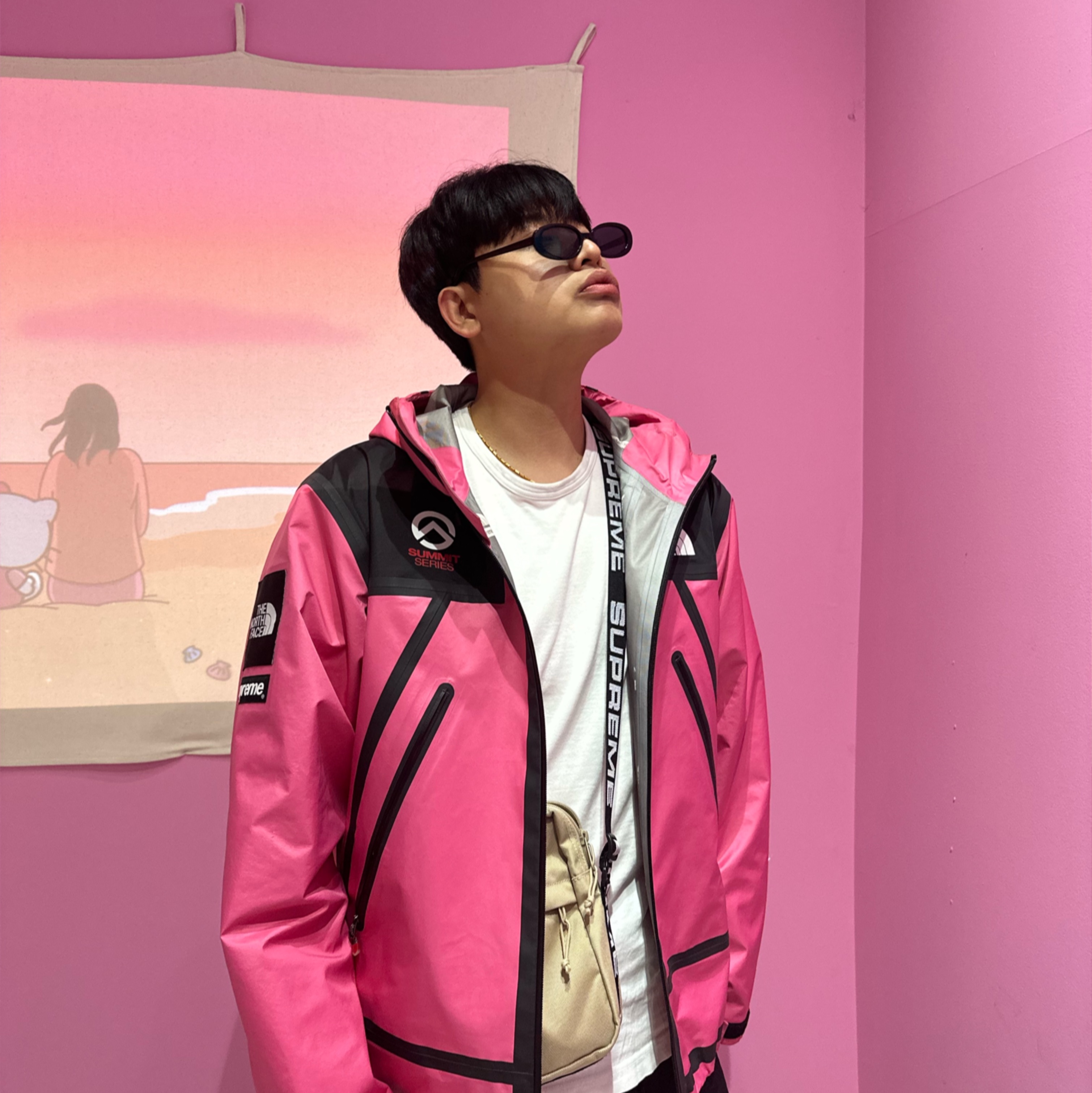 Supreme x The North Face Summit Series Outer Tape Seam Jacket Pink - 21SS, (W) Asics Gel-Kayano 14 White Dark Grape 착용 스타일 - 3