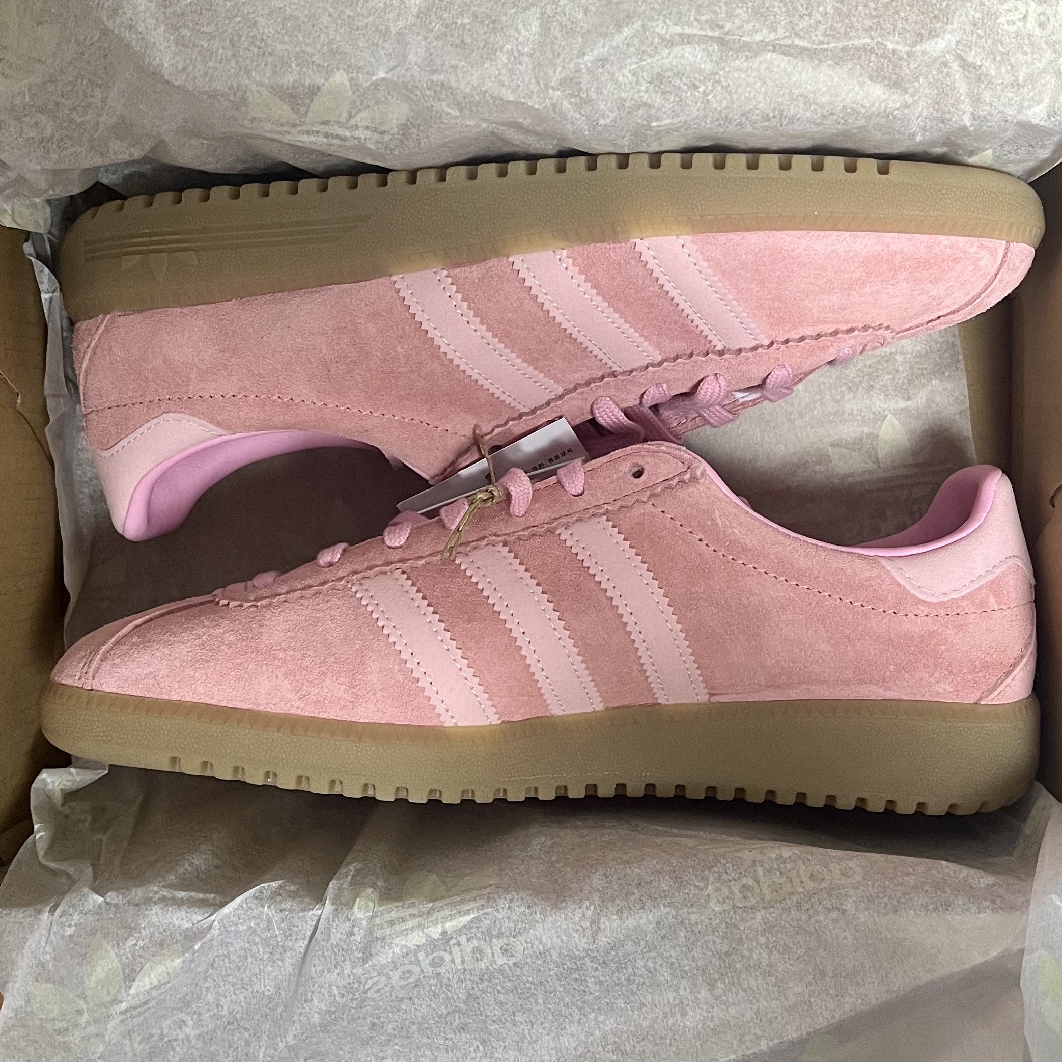 Adidas Bermuda Glow Pink 착용 스타일