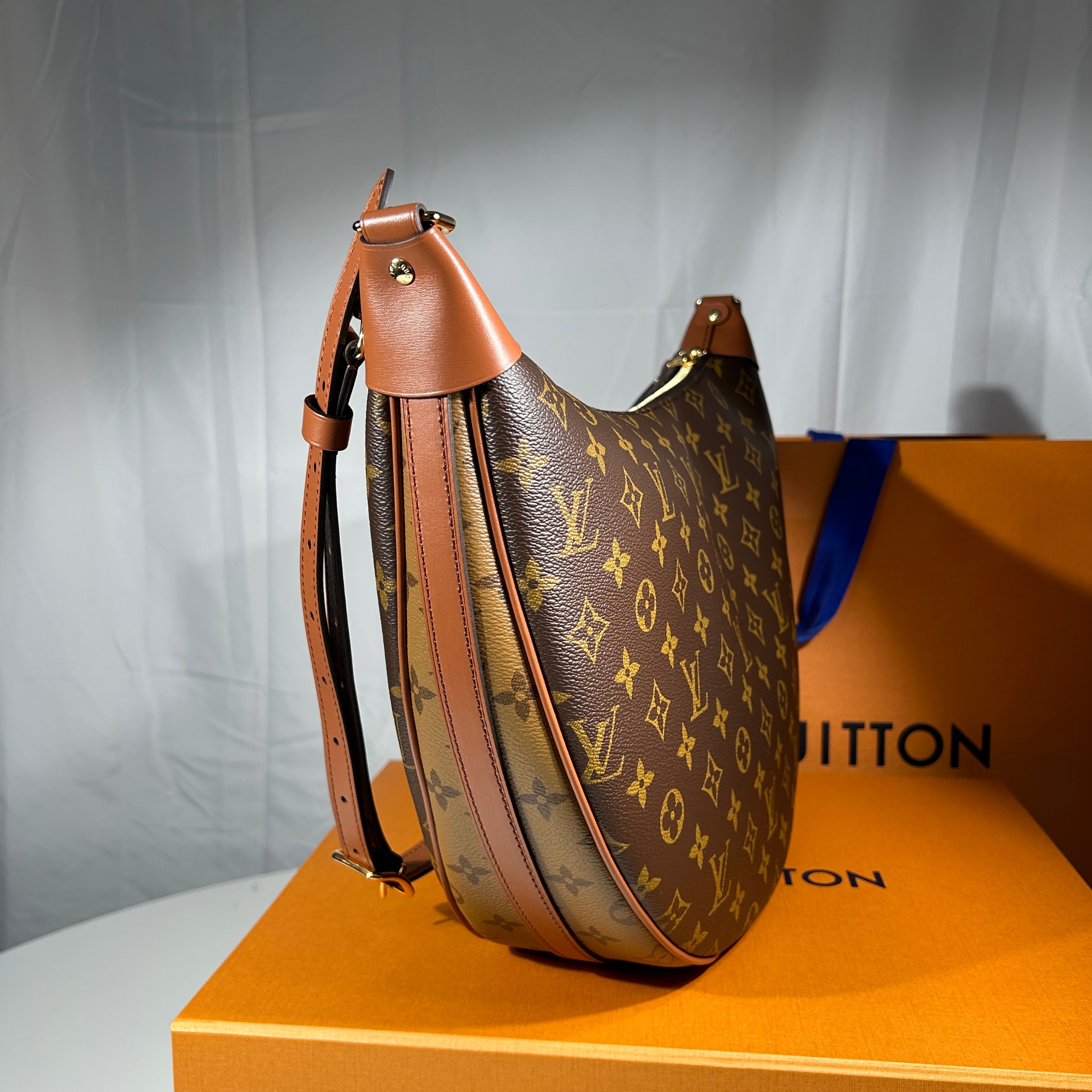 Louis Vuitton Loop Hobo Monogram 착용 스타일 - 2