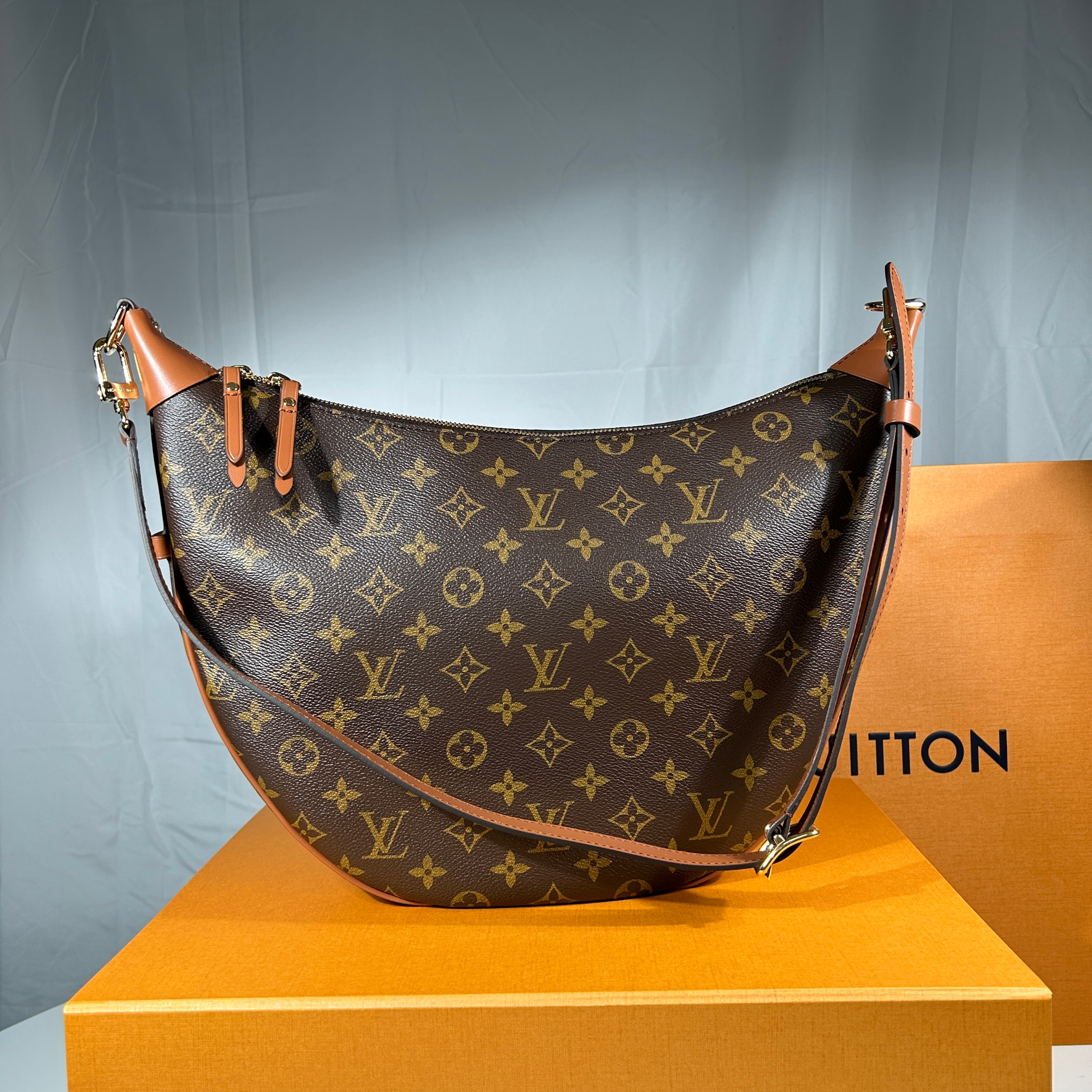 Louis Vuitton Loop Hobo Monogram 착용 스타일 - 5