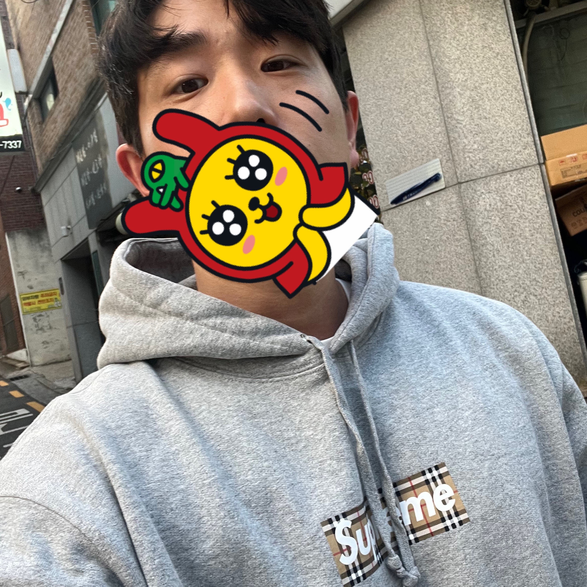 Supreme x Burberry Box Logo Hooded Sweatshirt Heather Grey - 22SS 착용 스타일