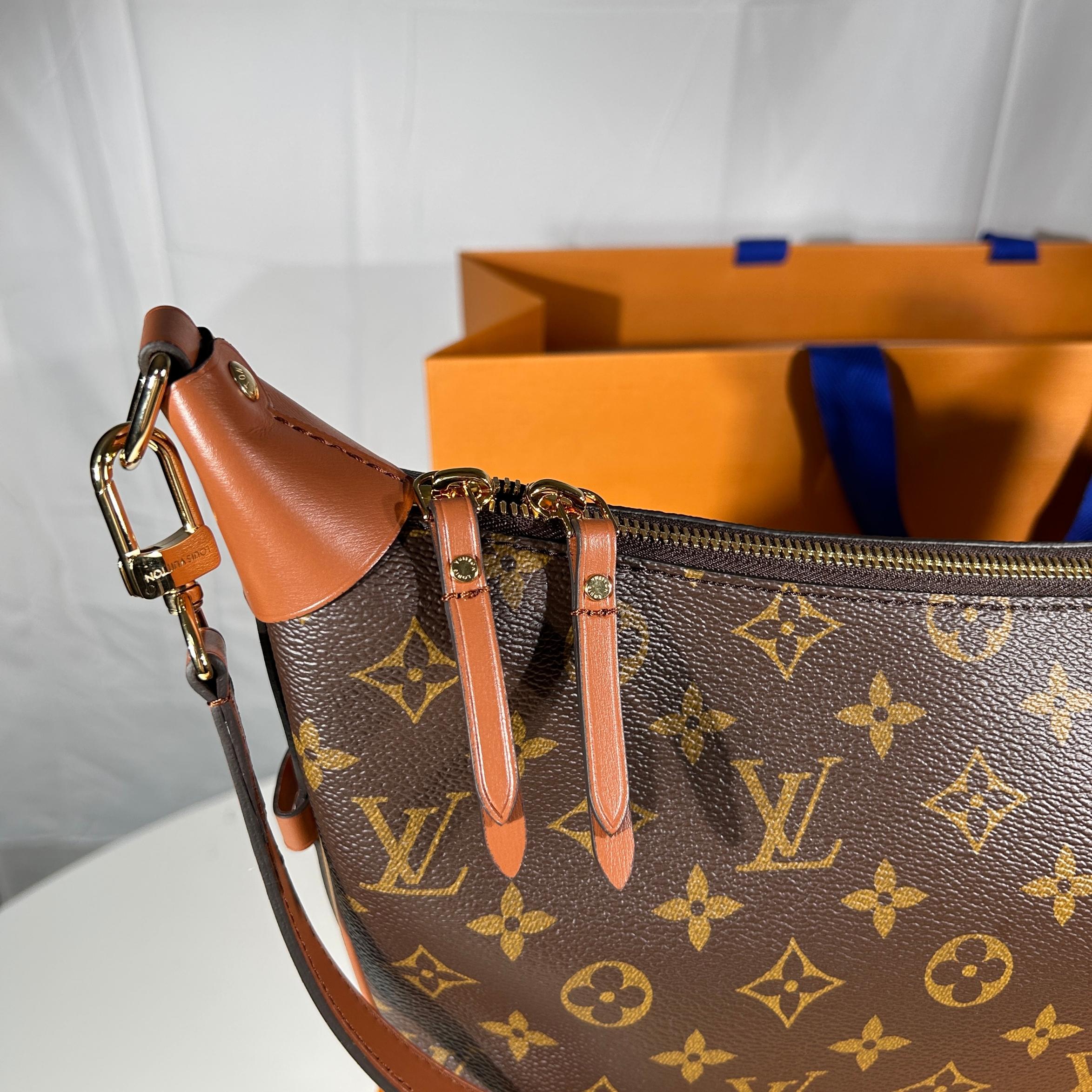 Louis Vuitton Loop Hobo Monogram 착용 스타일 - 1