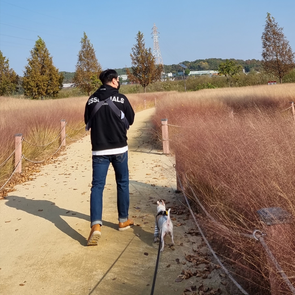 baldojes님의 스타일