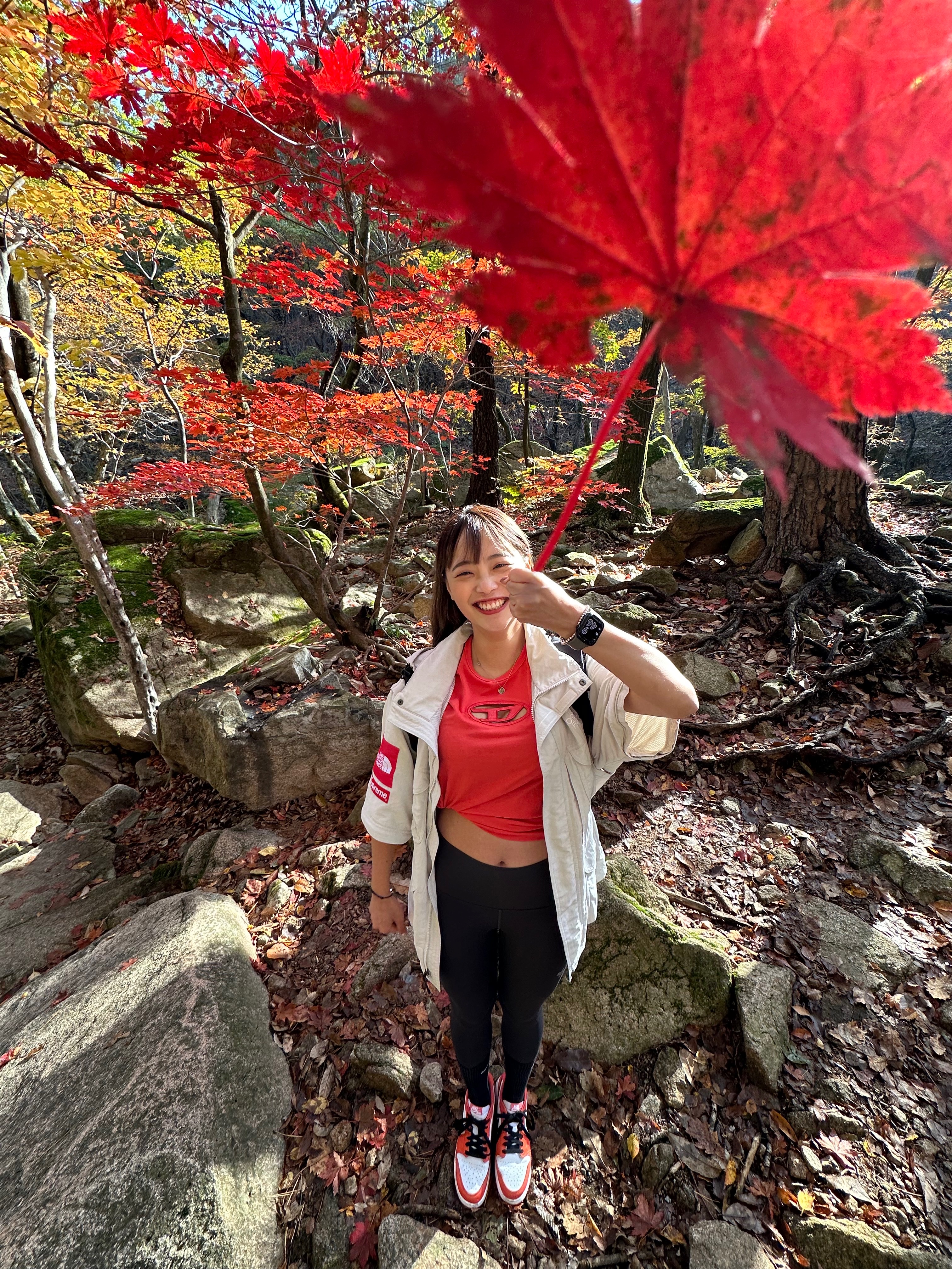 Supreme x The North Face Trekking Convertible Jacket Stone - 22SS, Jordan 1 Low OG Starfish 착용 스타일 - 7