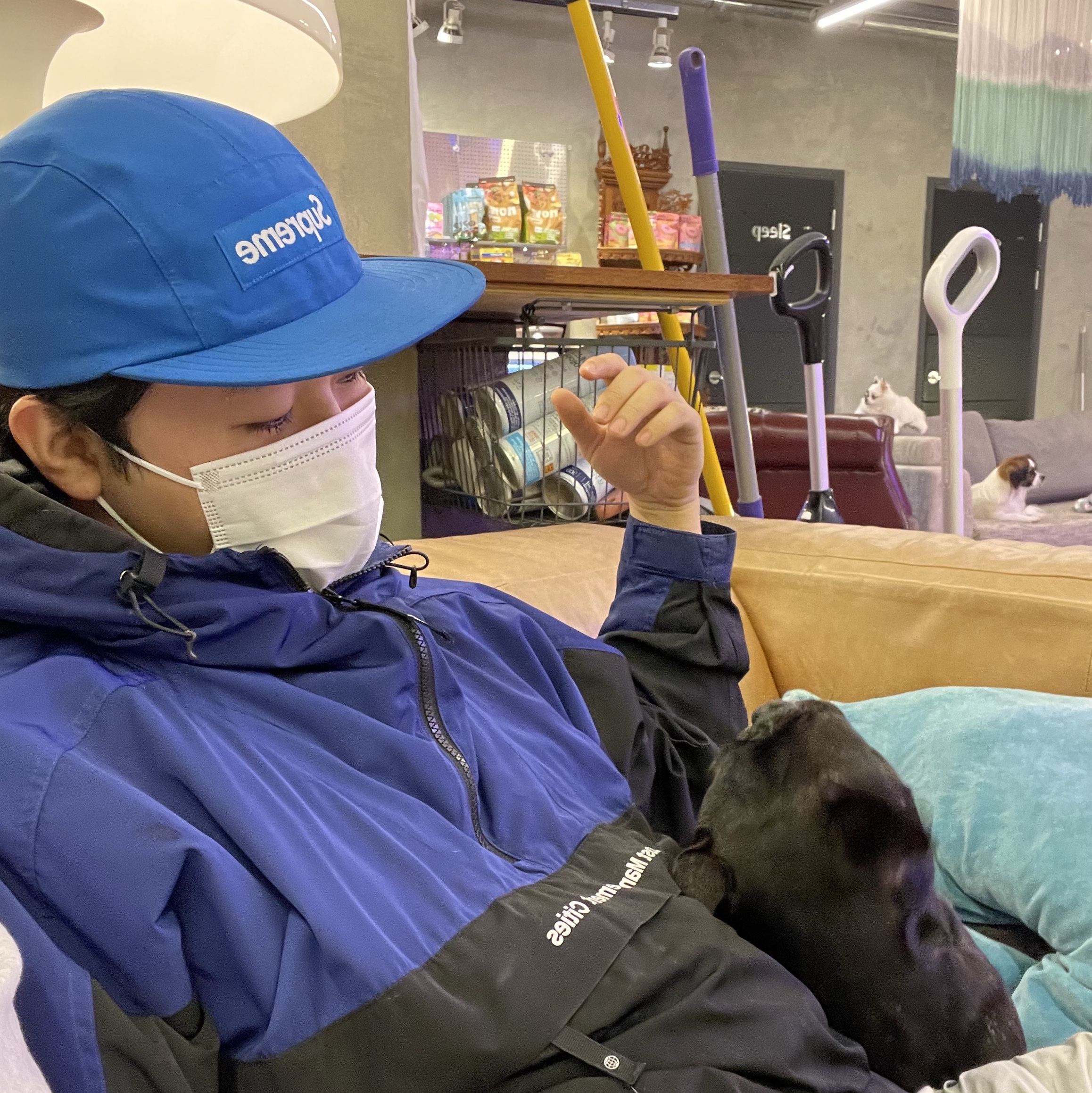 Supreme Gore-Tex Paclite Long Bill Camp Cap Blue - 23SS, Human Made Bulldog Hariko Figure Brown 착용 스타일