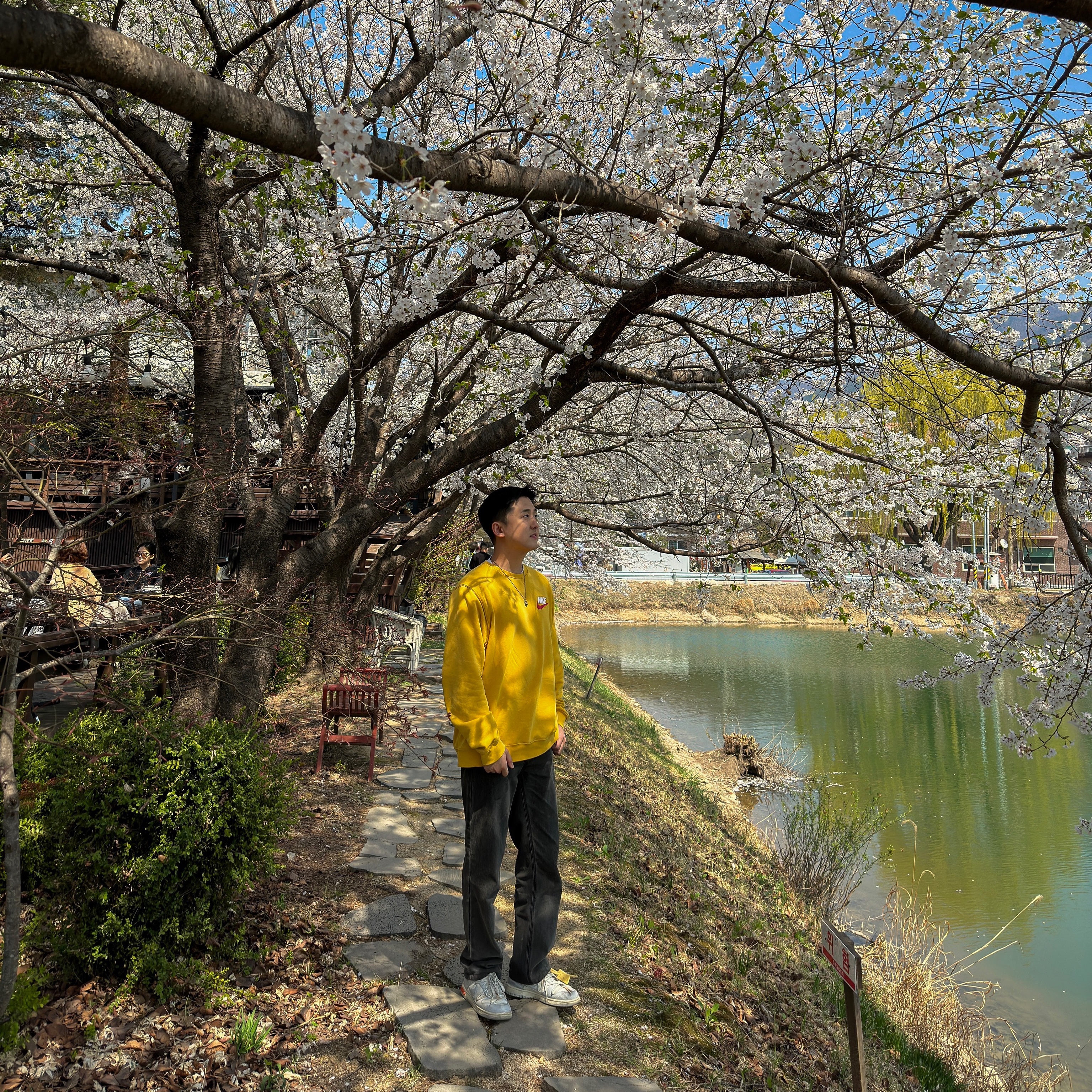 Supreme x Nike Crewneck Mustard - 18FW, Nike x Off-White Dunk Low The 50 - Lot 46 착용 스타일