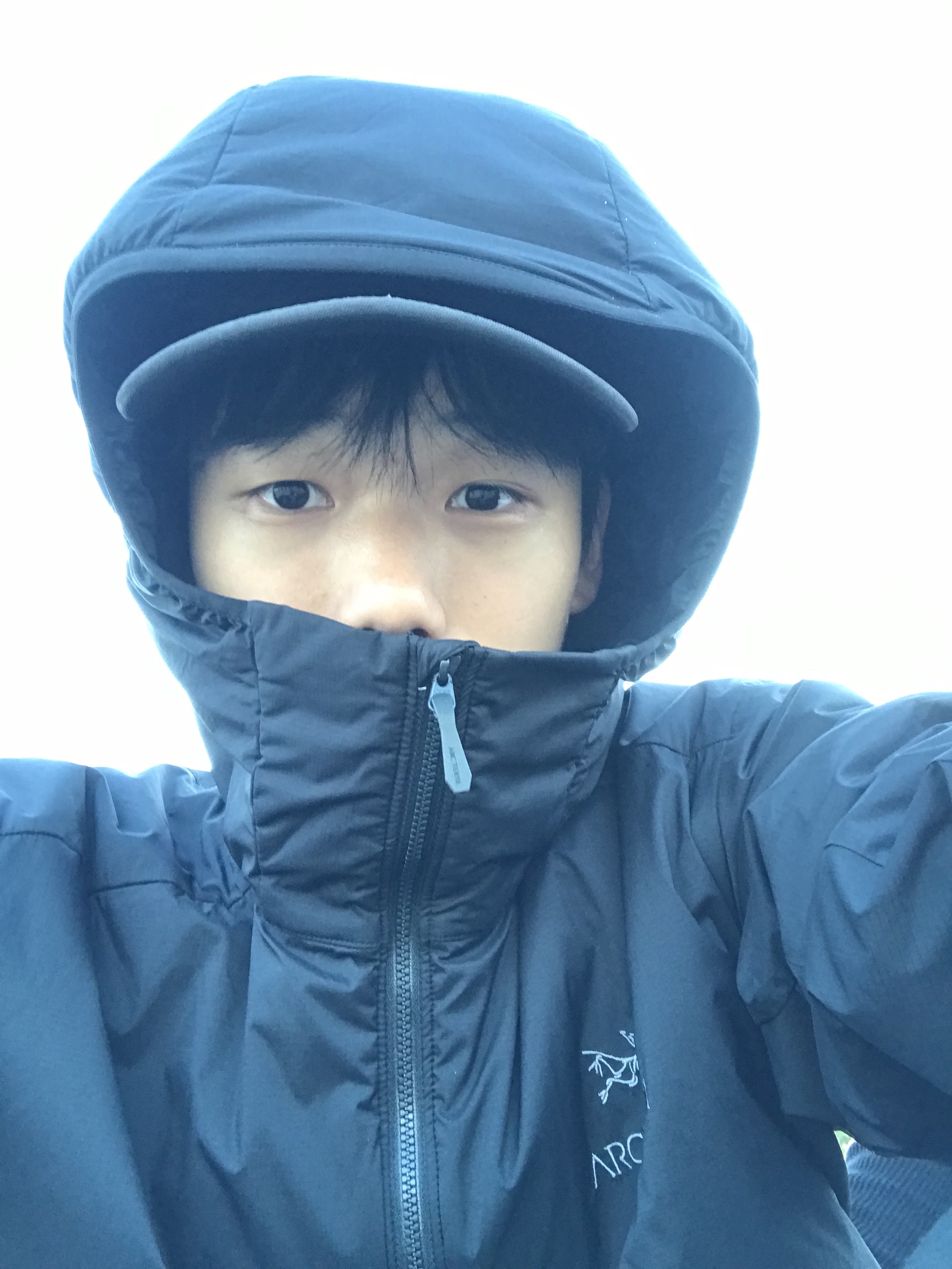 Arc'teryx Atom LT Hoody Black, Arc'teryx Atom Hoody Black 착용 스타일 - 2