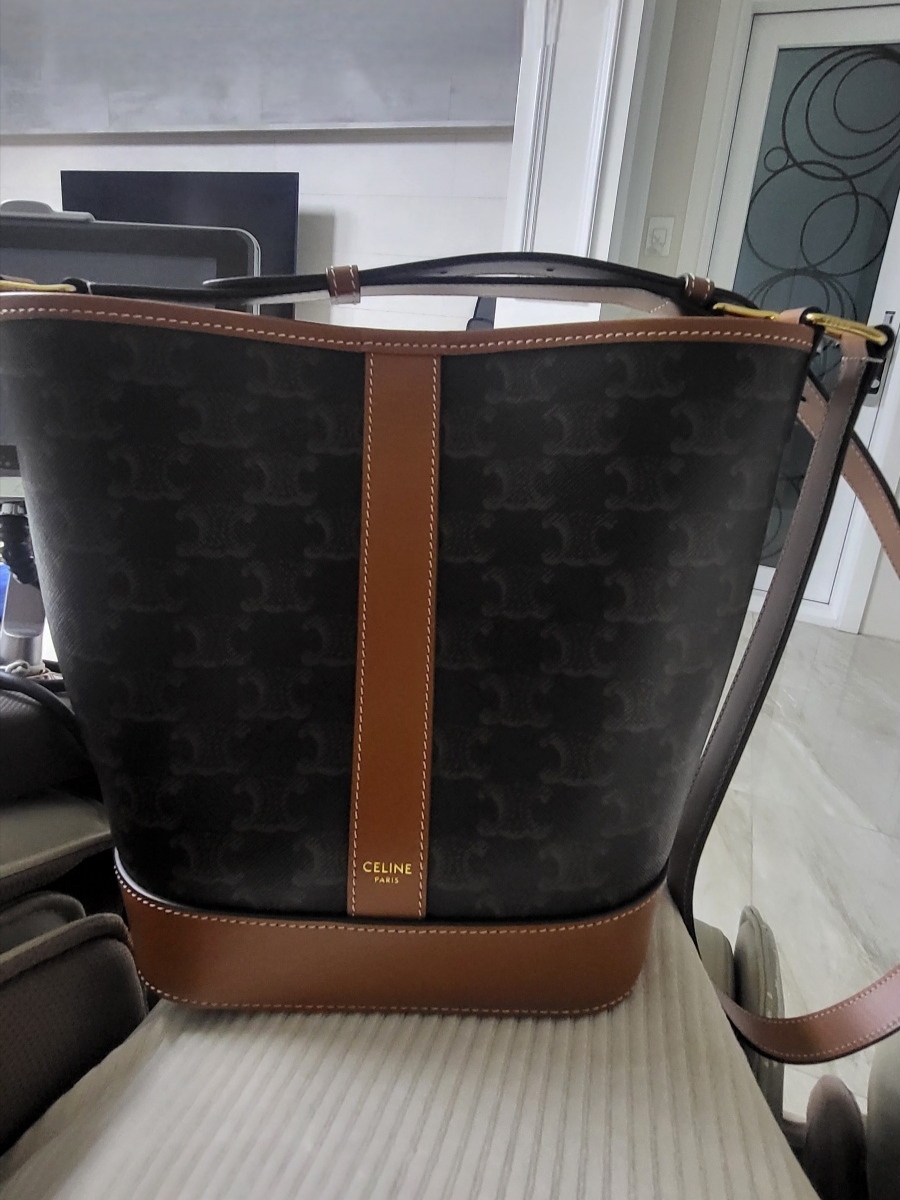 Celine Small Bucket in Triomphe Canvas and Calfskin Tan 착용 스타일