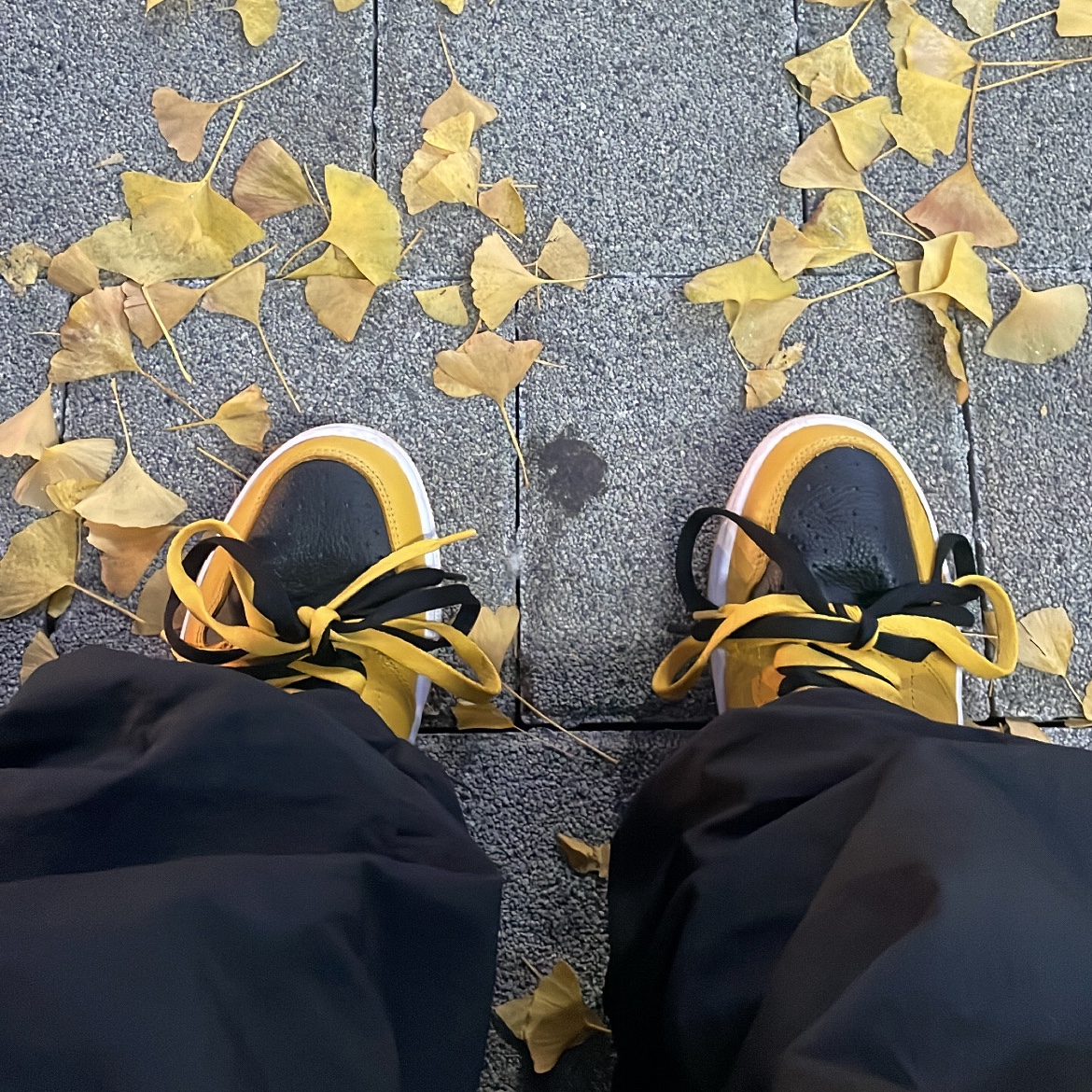 Jordan 1 Retro High OG Pollen 착용 스타일