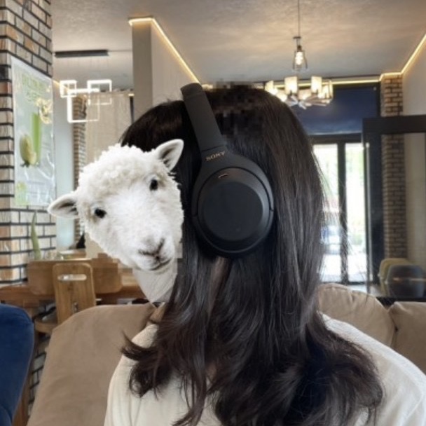 sonyclass님의 스타일