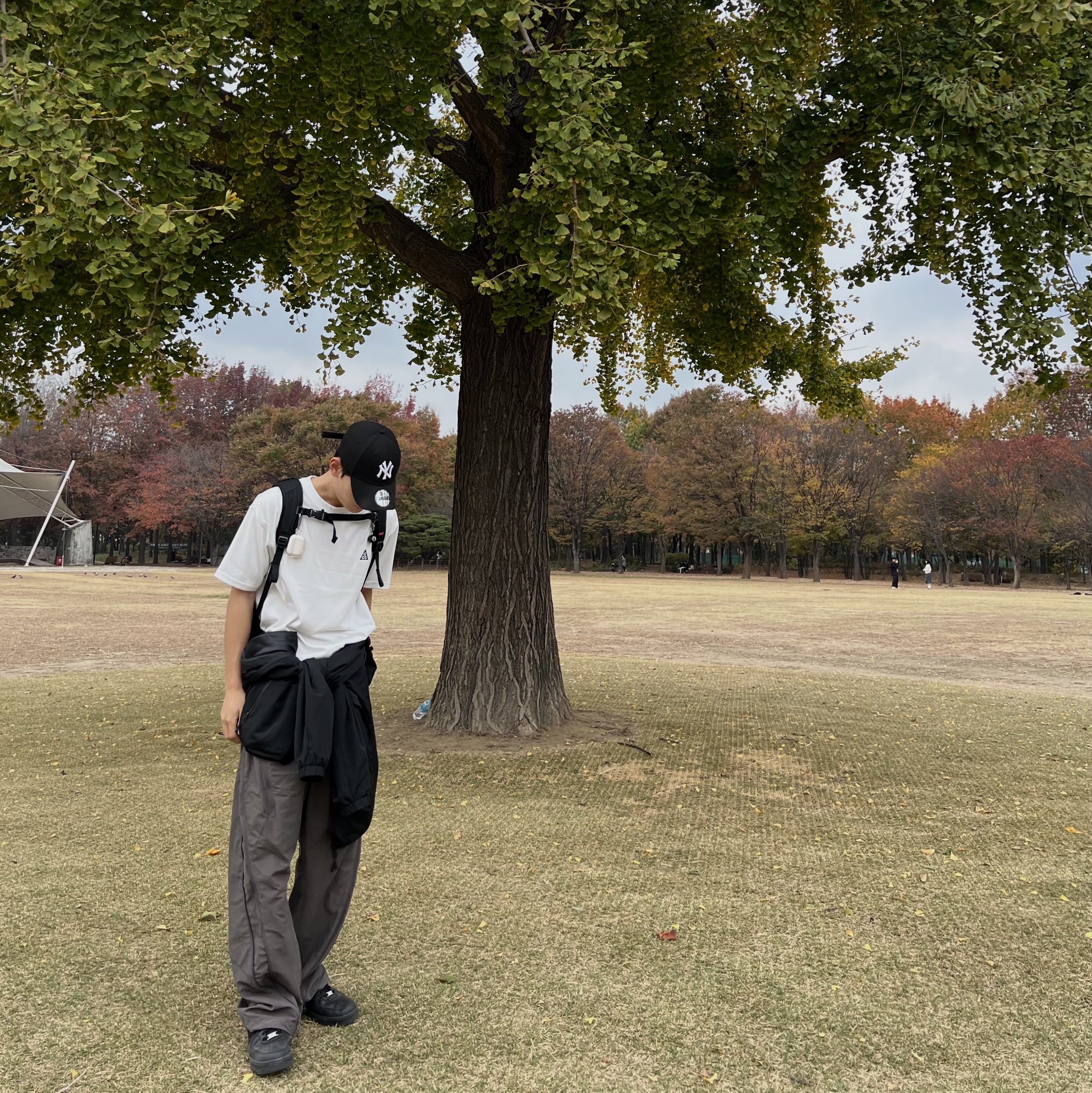 Supreme x The North Face S Logo Expedition Backpack Black - 20FW, Nike ACG LBR T-Shirt Summit White - Asia 착용 스타일 - 3