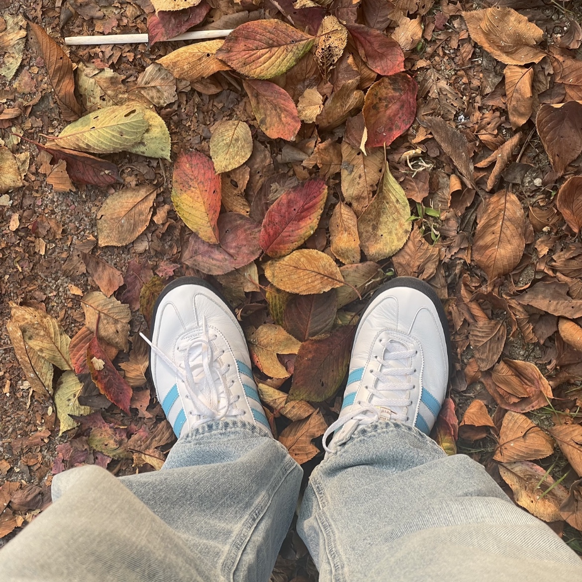 Adidas Jeans White Bright Cyan 착용 스타일
