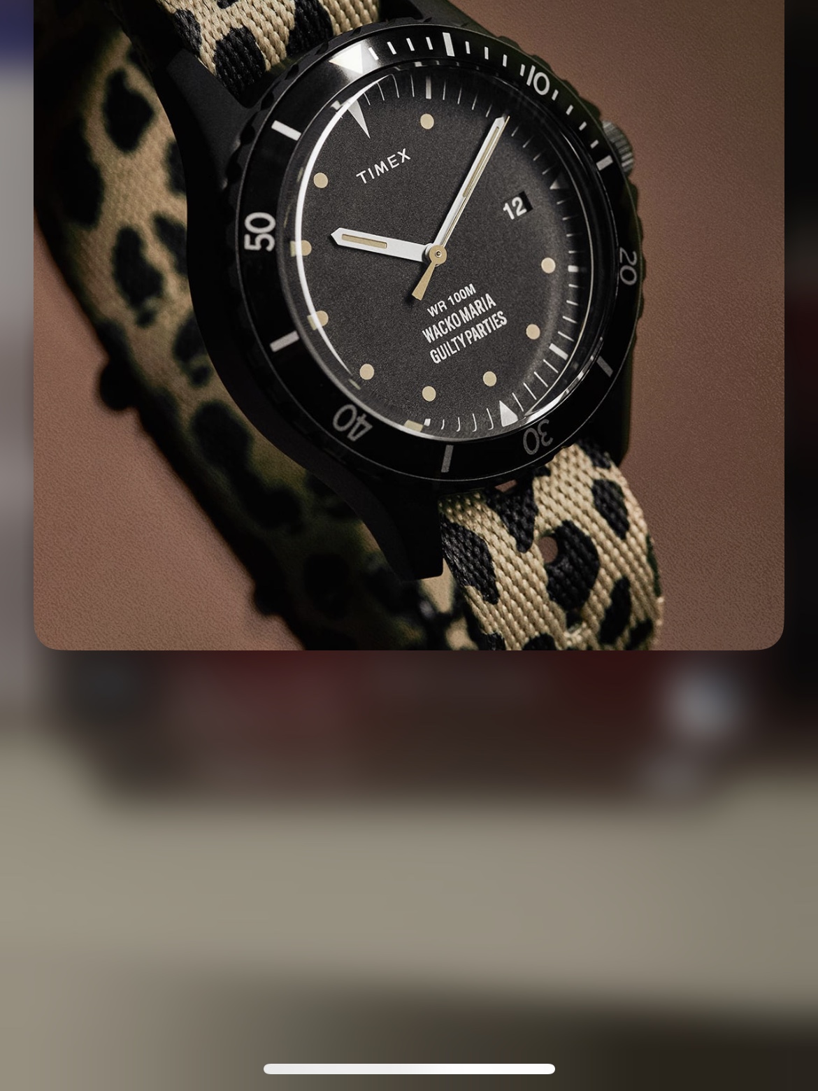 Timex x Wacko Maria x END. Navi 38 Giftset Leopard & Black 착용 스타일 - 1