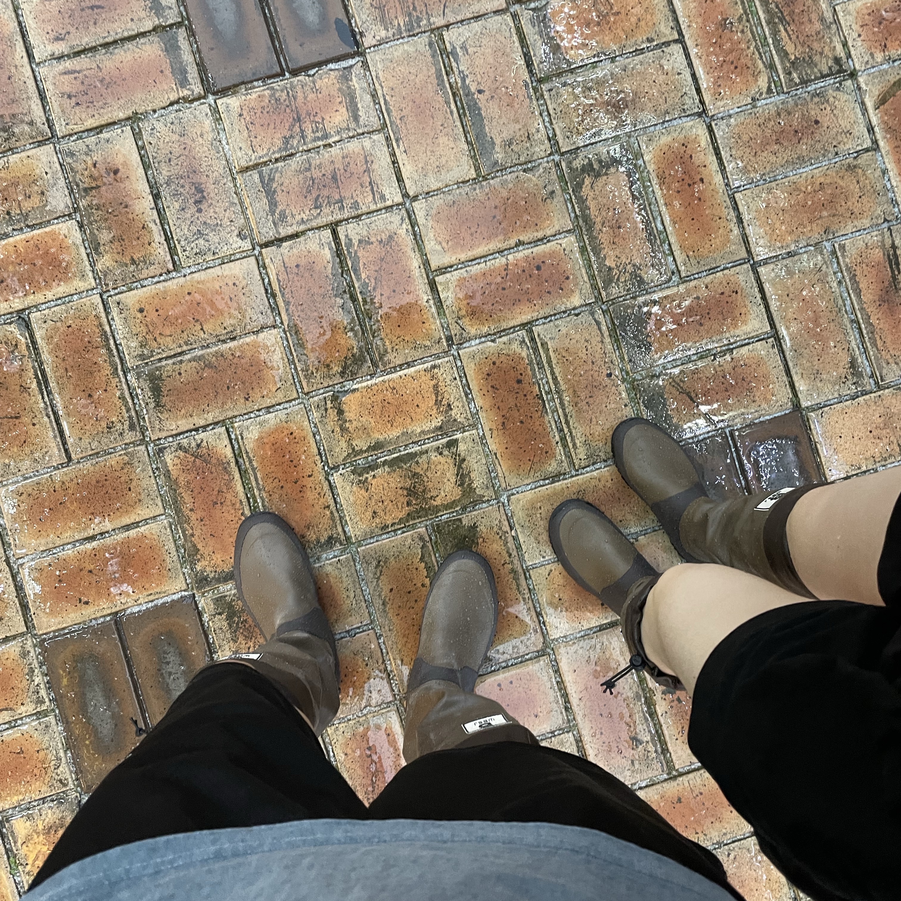 Clarks Wallabee Dark Brown Suede, Our Legacy Third Cut Digital Dual Sand Denim 착용 스타일 - 2