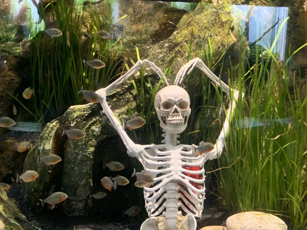 관심 유저 프로필 이미지