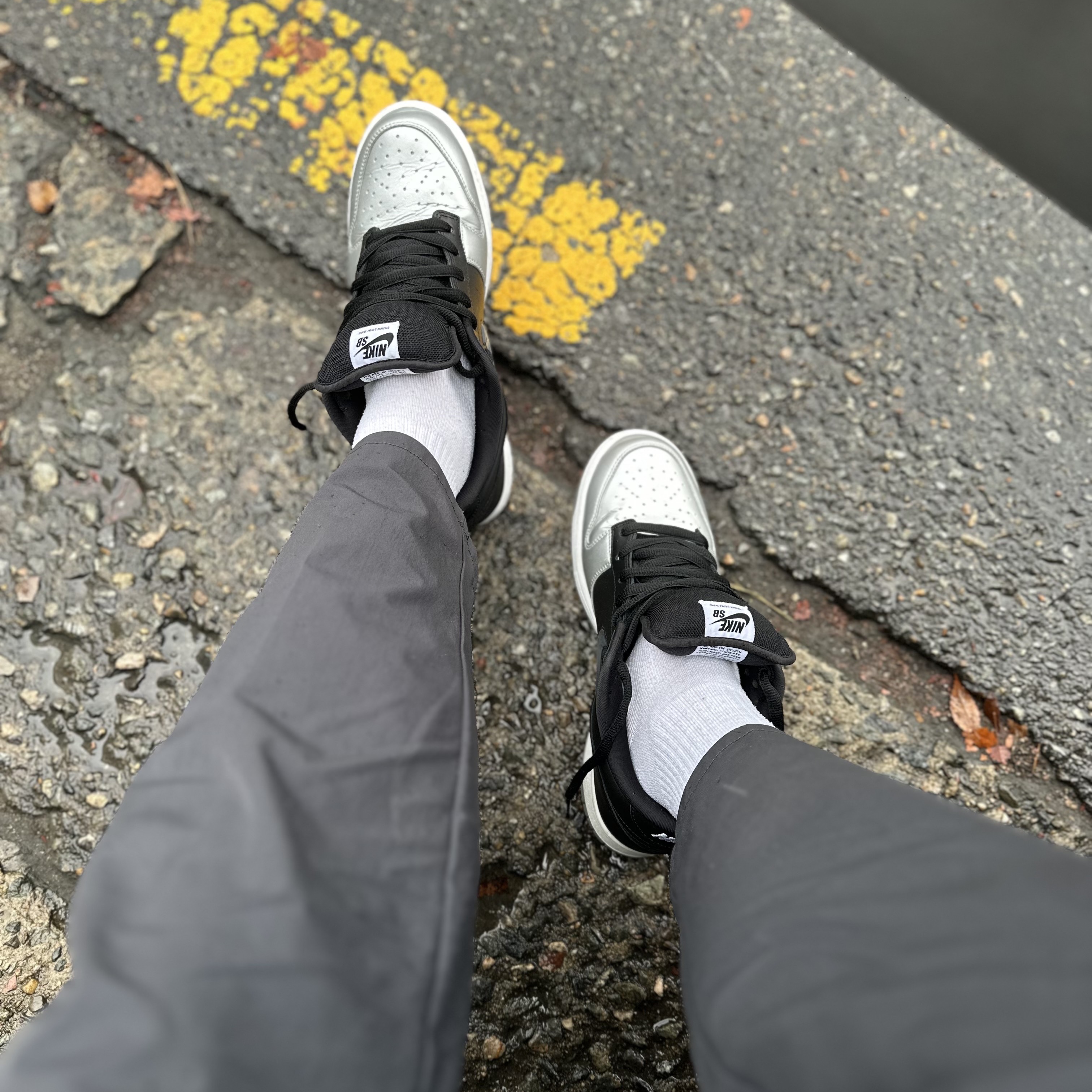 Nike x Supreme SB Dunk Low Jewel Swoosh Silver 착용 스타일 - 1
