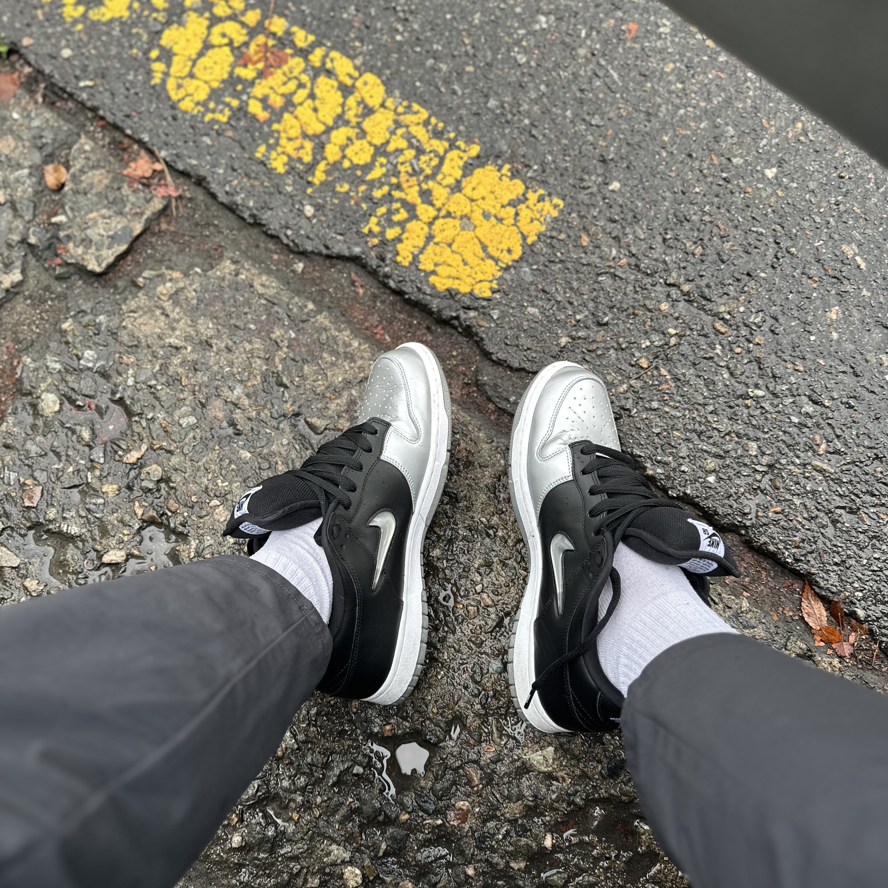 Nike x Supreme SB Dunk Low Jewel Swoosh Silver 착용 스타일 - 2