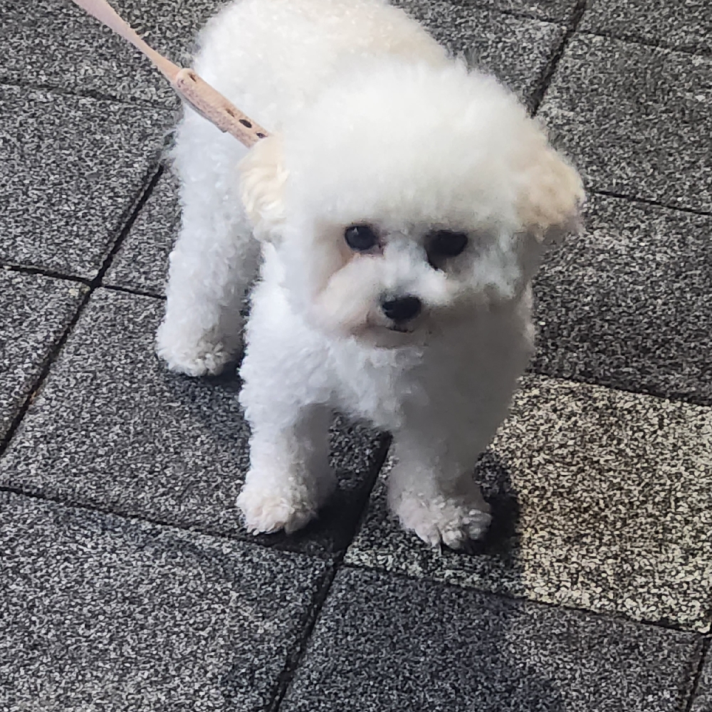 관심 유저 프로필 이미지