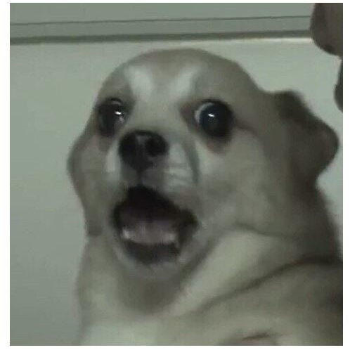 관심 유저 프로필 이미지